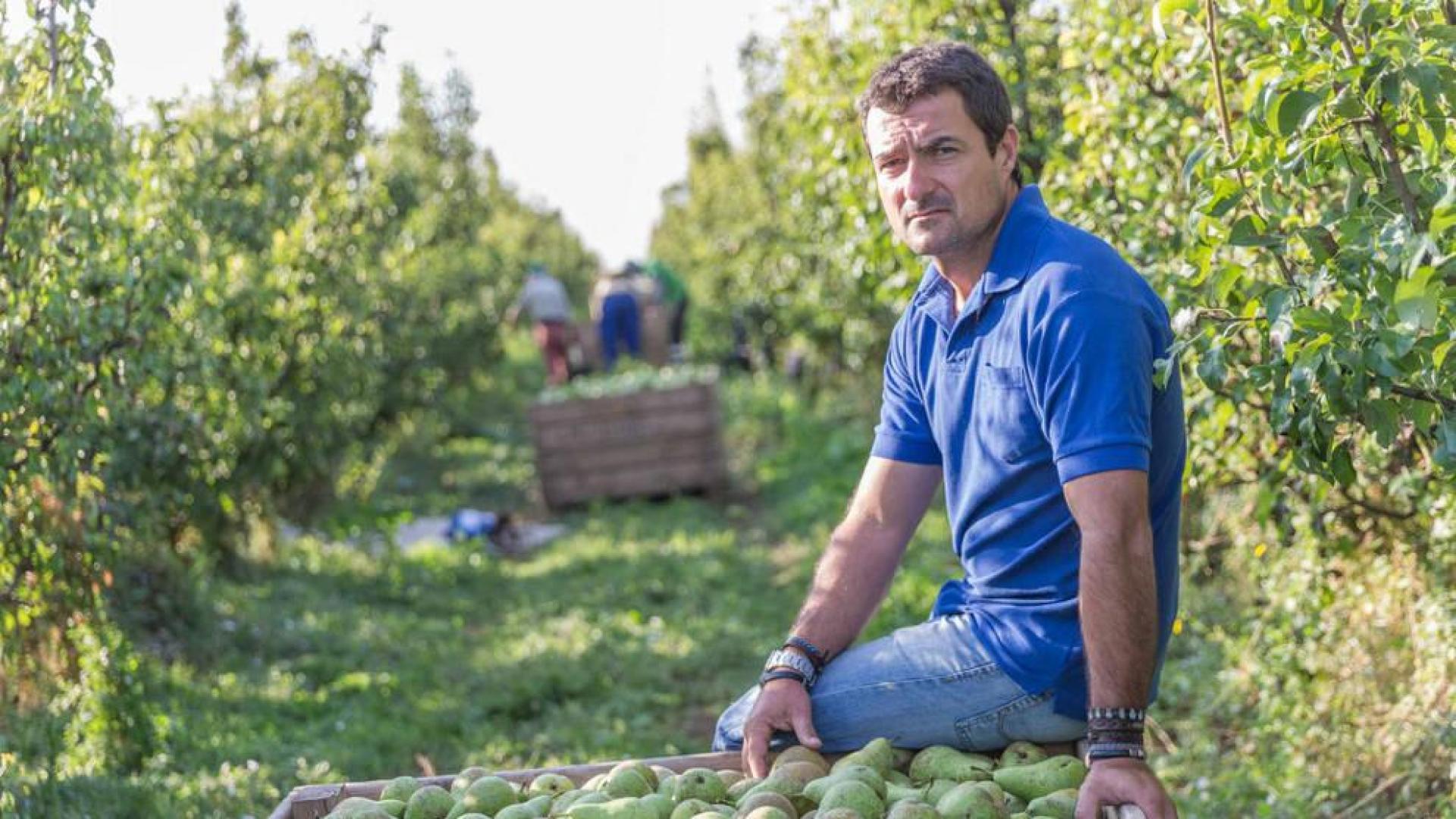 Un año de precios “pésimos” para melocotón y cereza y “dignos” para la pera
