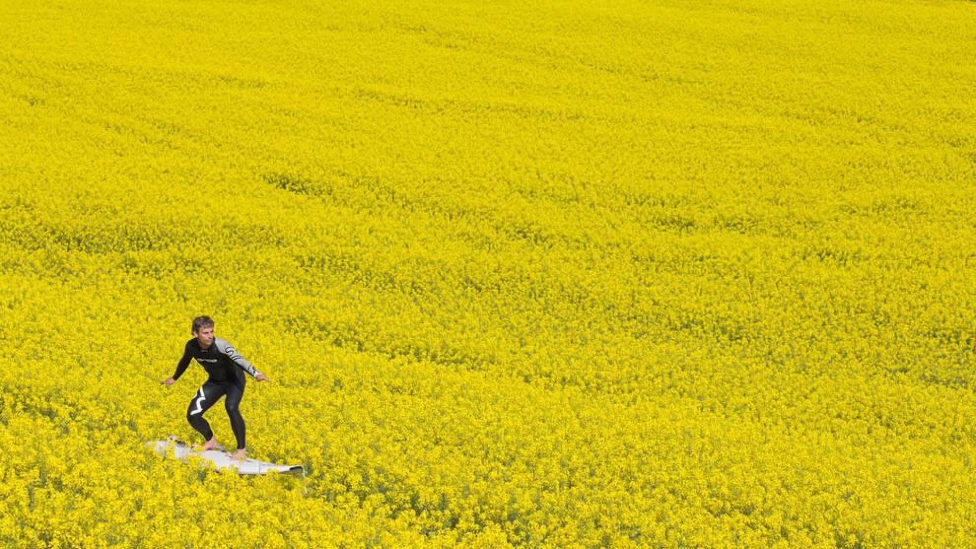 Fotografía: una diversión “muy seria”