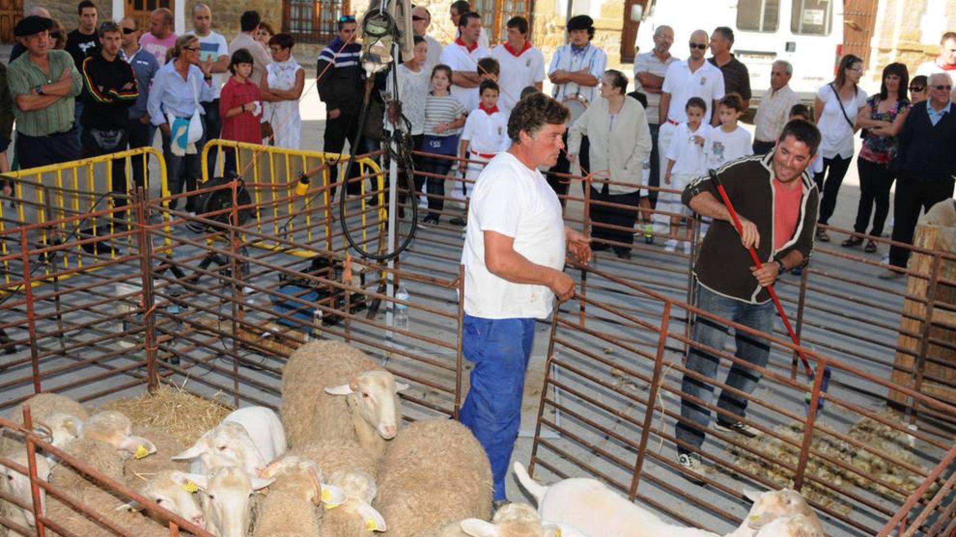 Carcastillo acoge este domingo la Fiesta de la Trashumancia