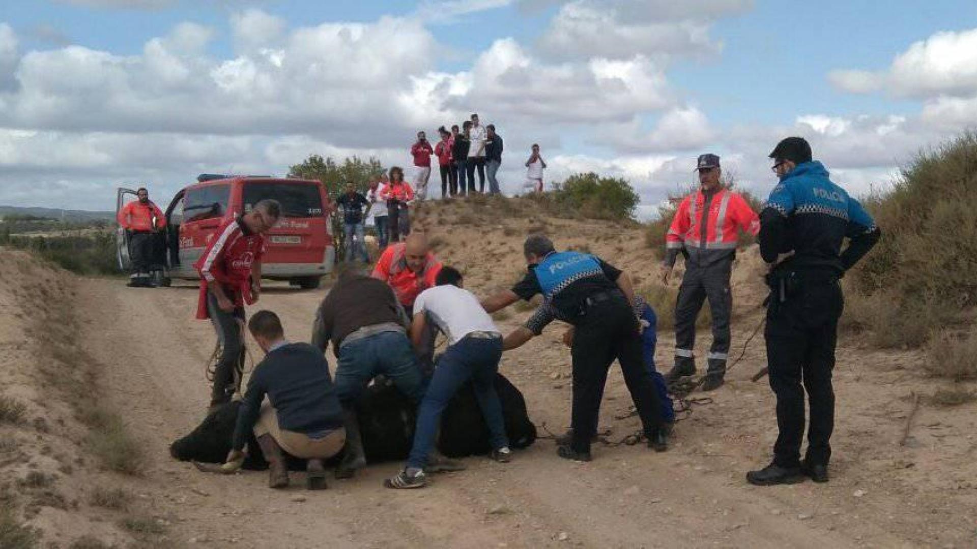 Herido un hombre de 77 años tras caer por un terraplén huyendo de un toro fugado