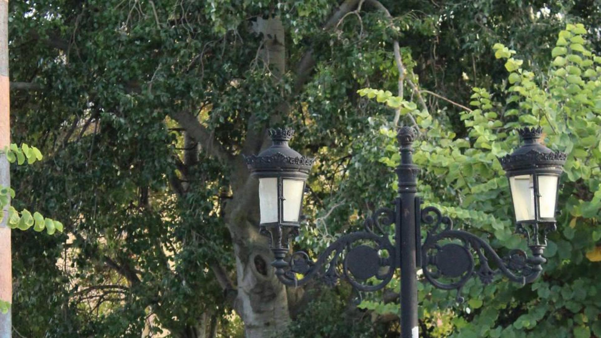 Los Arcos, Allo y Arróniz se unen para ahorrar en la factura de la luz