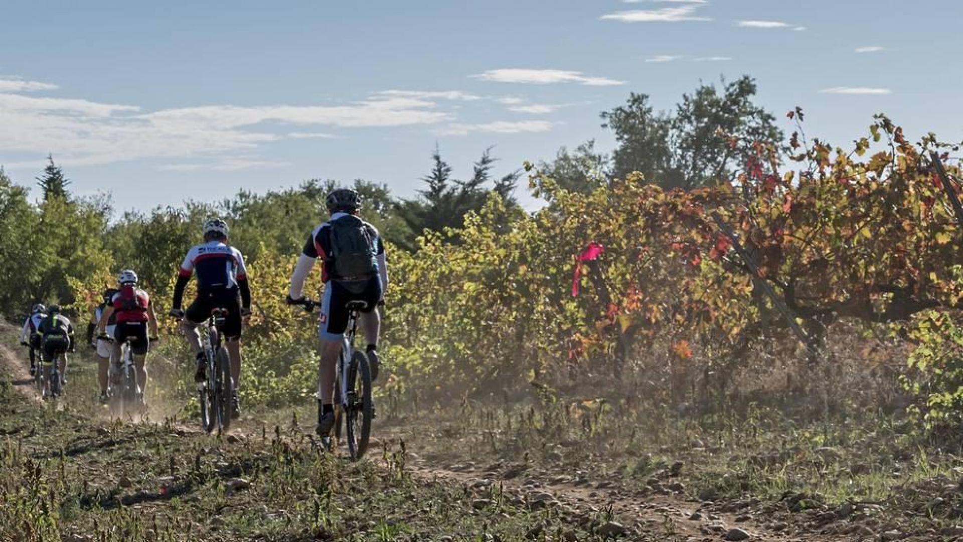 Los participantes en la segunda edición de la Tierra Estella Epic transitan por un camino entre viñedos.