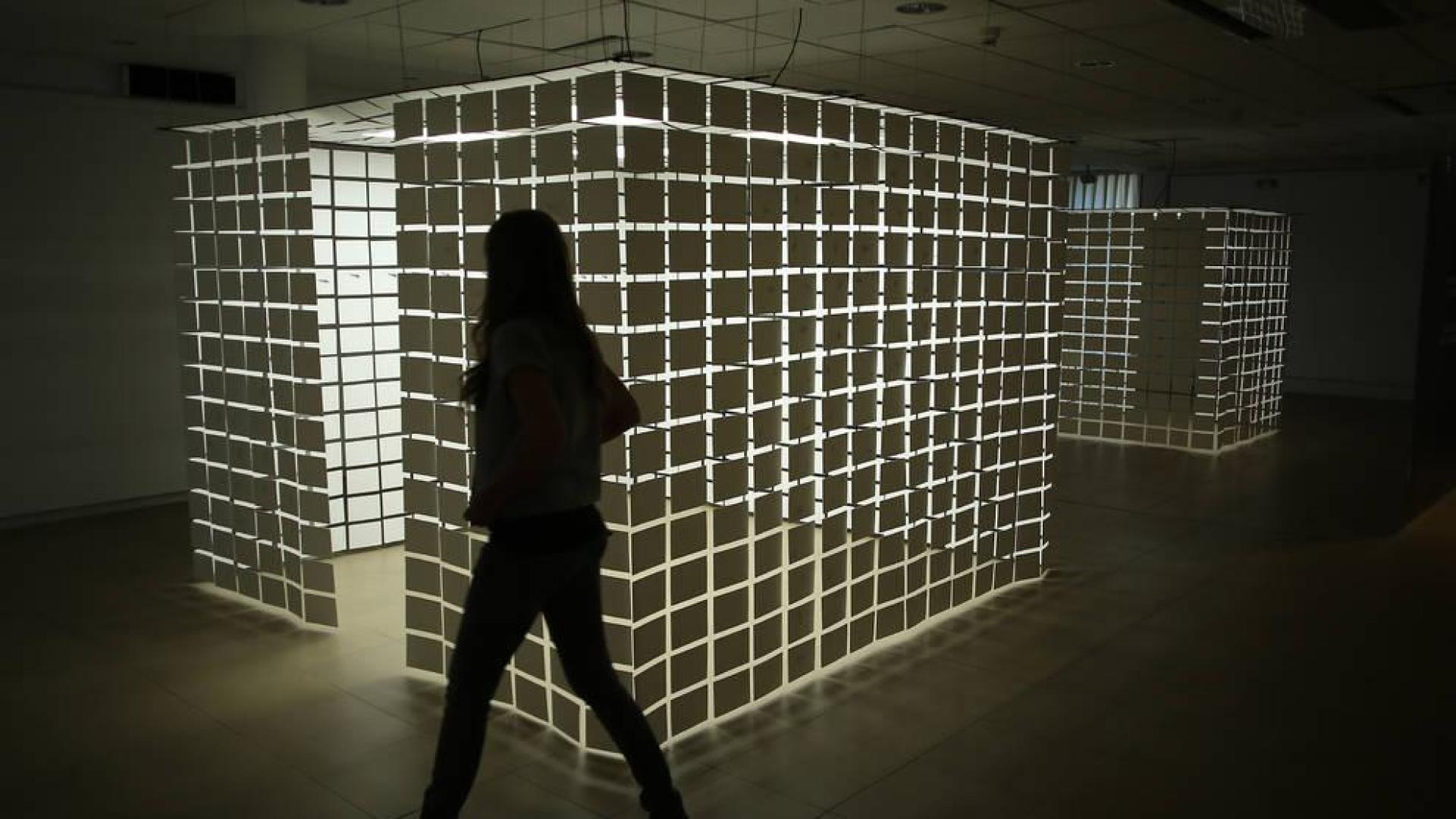 Monika Aranda suelta sus insectos en orden
