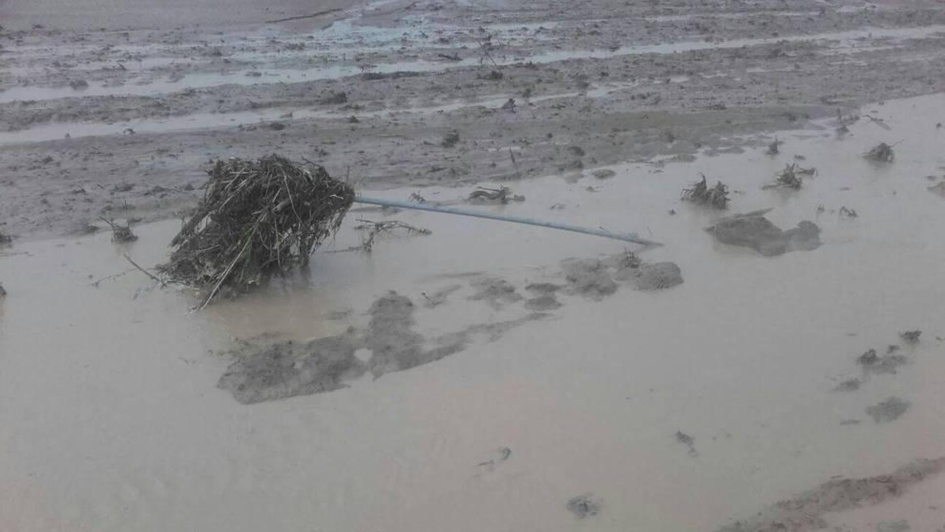 Culpan a Medio Ambiente de daños en fincas de Beire y Pitillas por la tormenta de Ujué