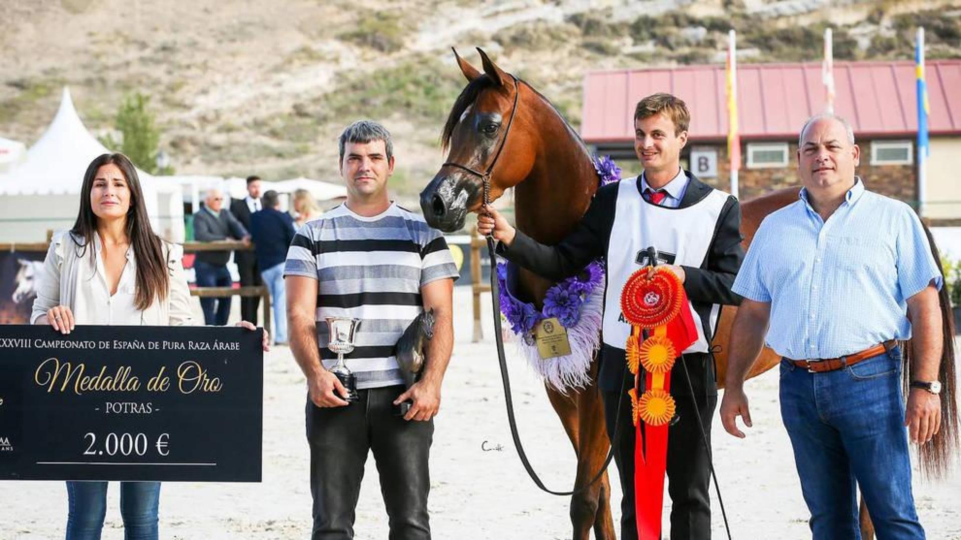 Una potra de oro en Baztan