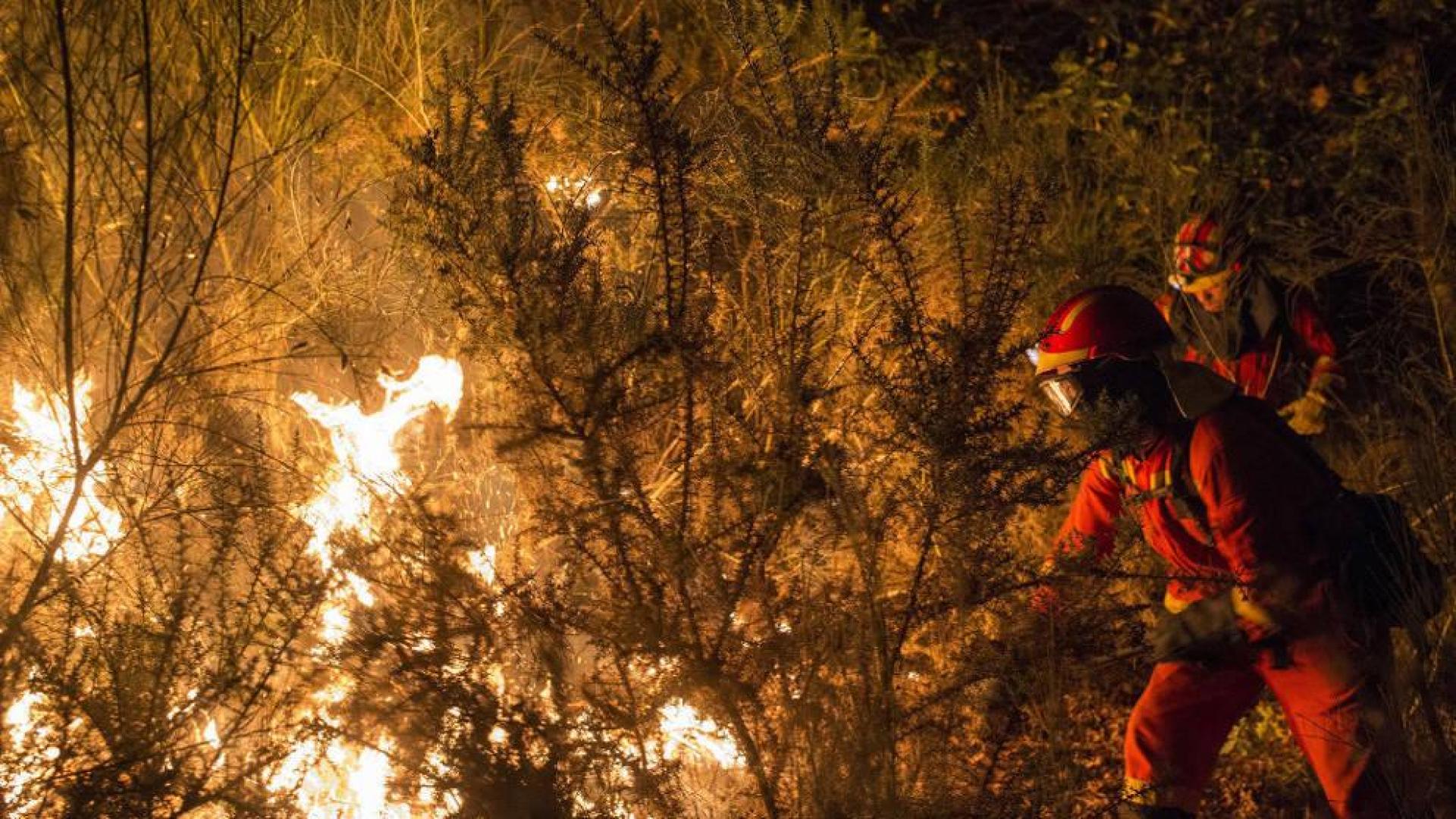 Galicia registra 15 incendios que afectan a más de 1.920 hectáreas