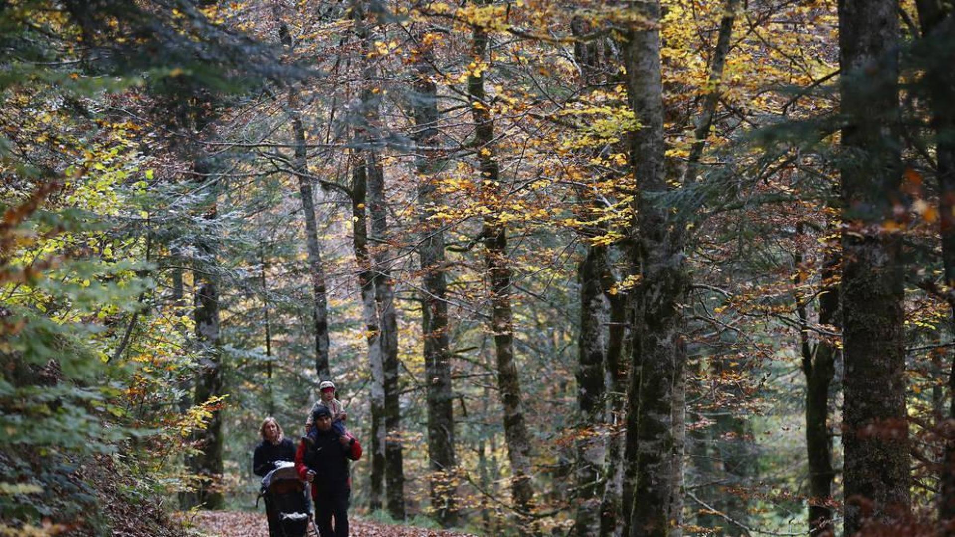 Un nuevo parking aliviará en otoño la saturación de vehículos en Irati