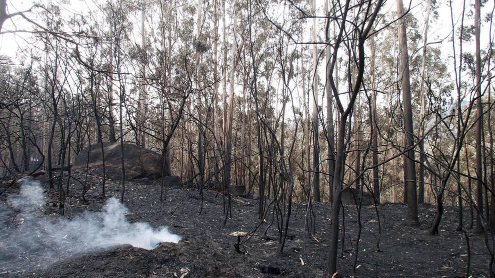 ¿Qué factores explican los incendios en Galicia y Asturias?
