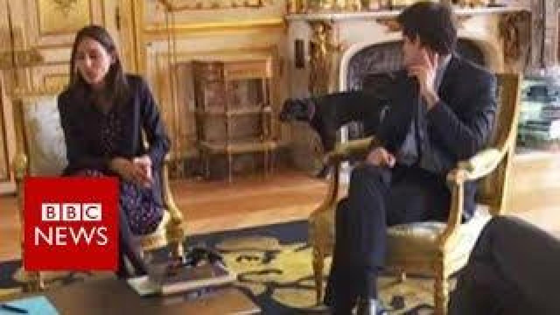 El perro de Macron orina en chimenea del Elíseo ante las cámaras