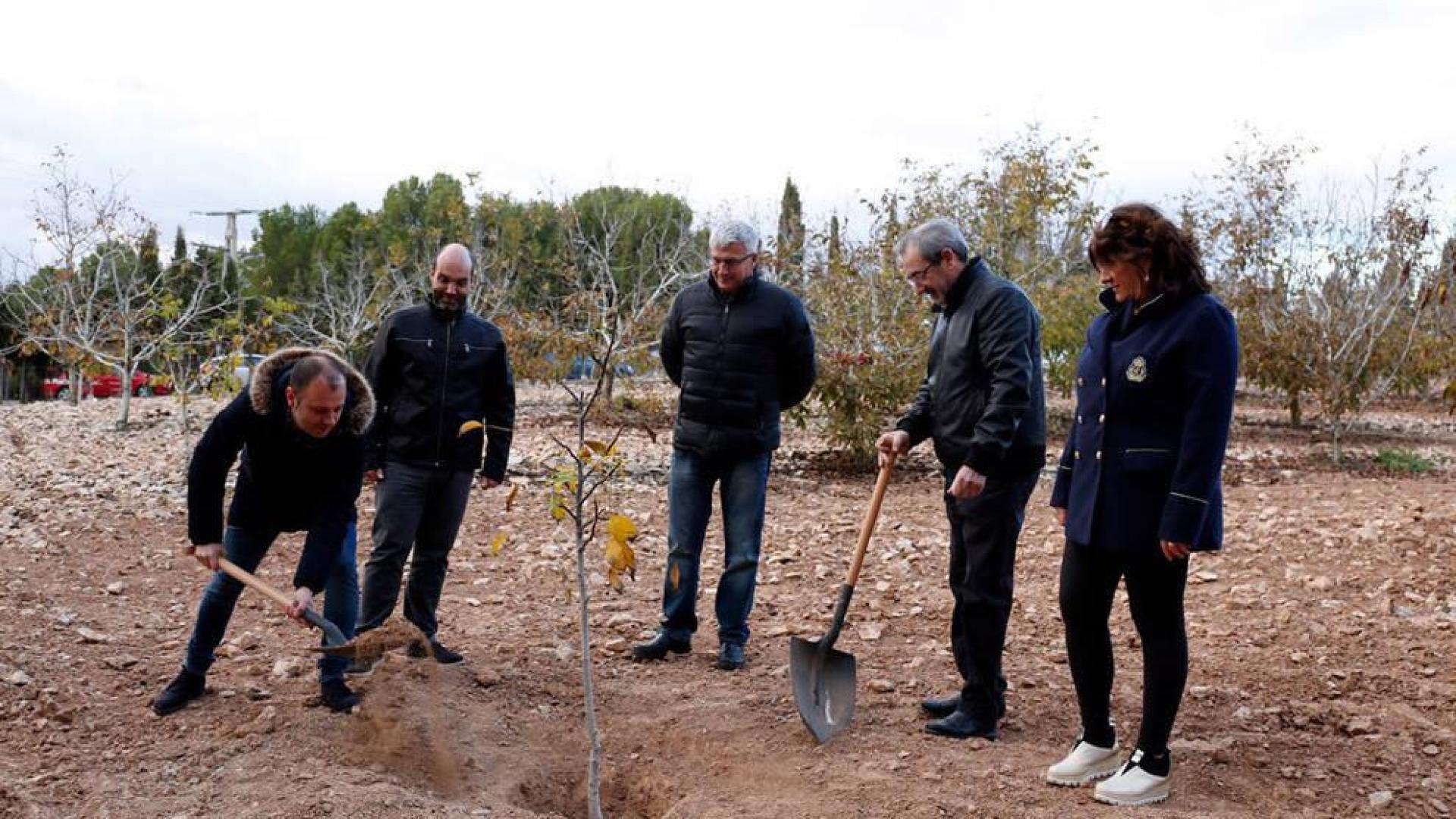 Fustiñana pedirá que el lanzamiento de nueces sea Fiesta de Interés Turístico