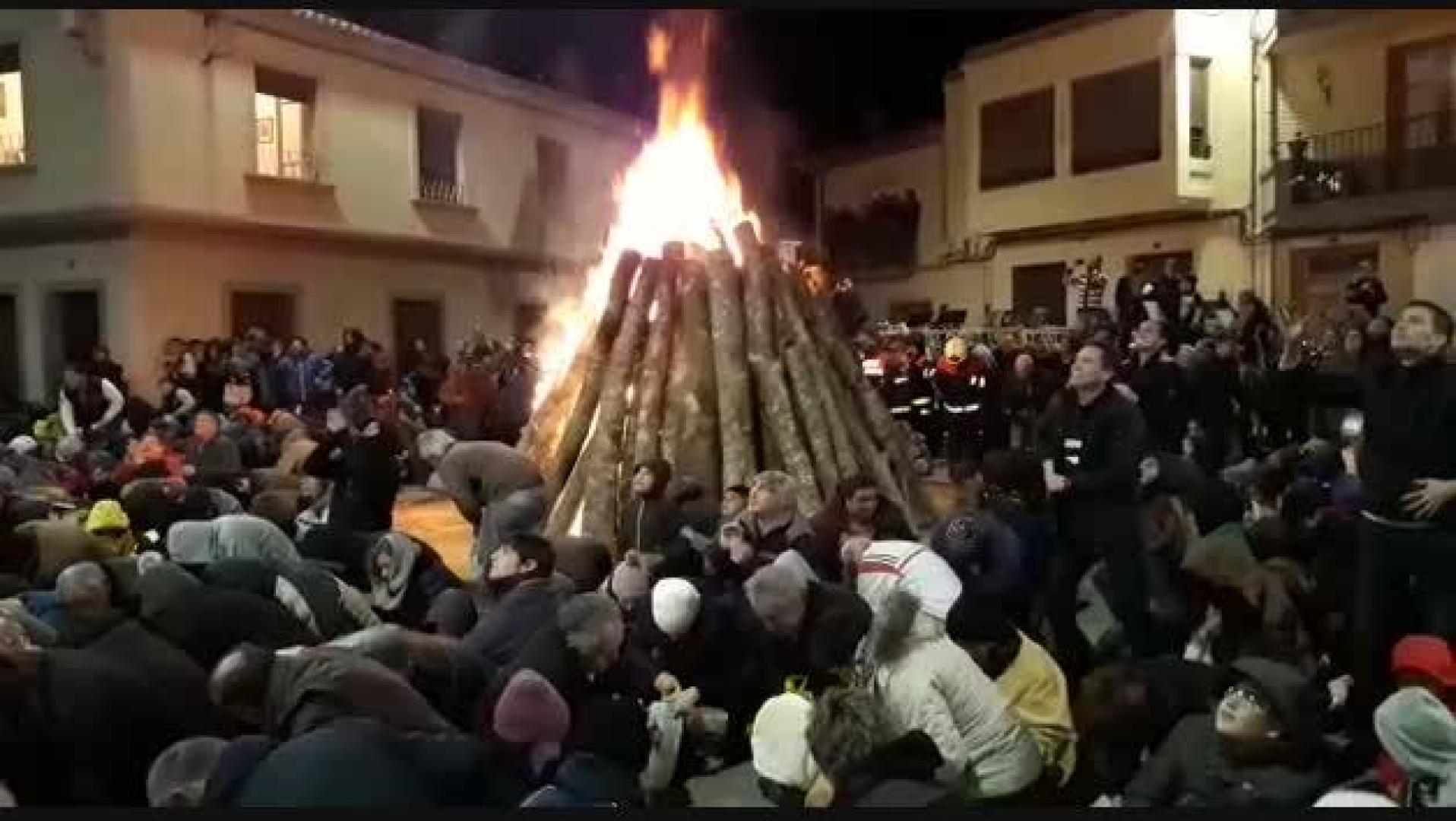 Lluvia de nueces en Fustiñana