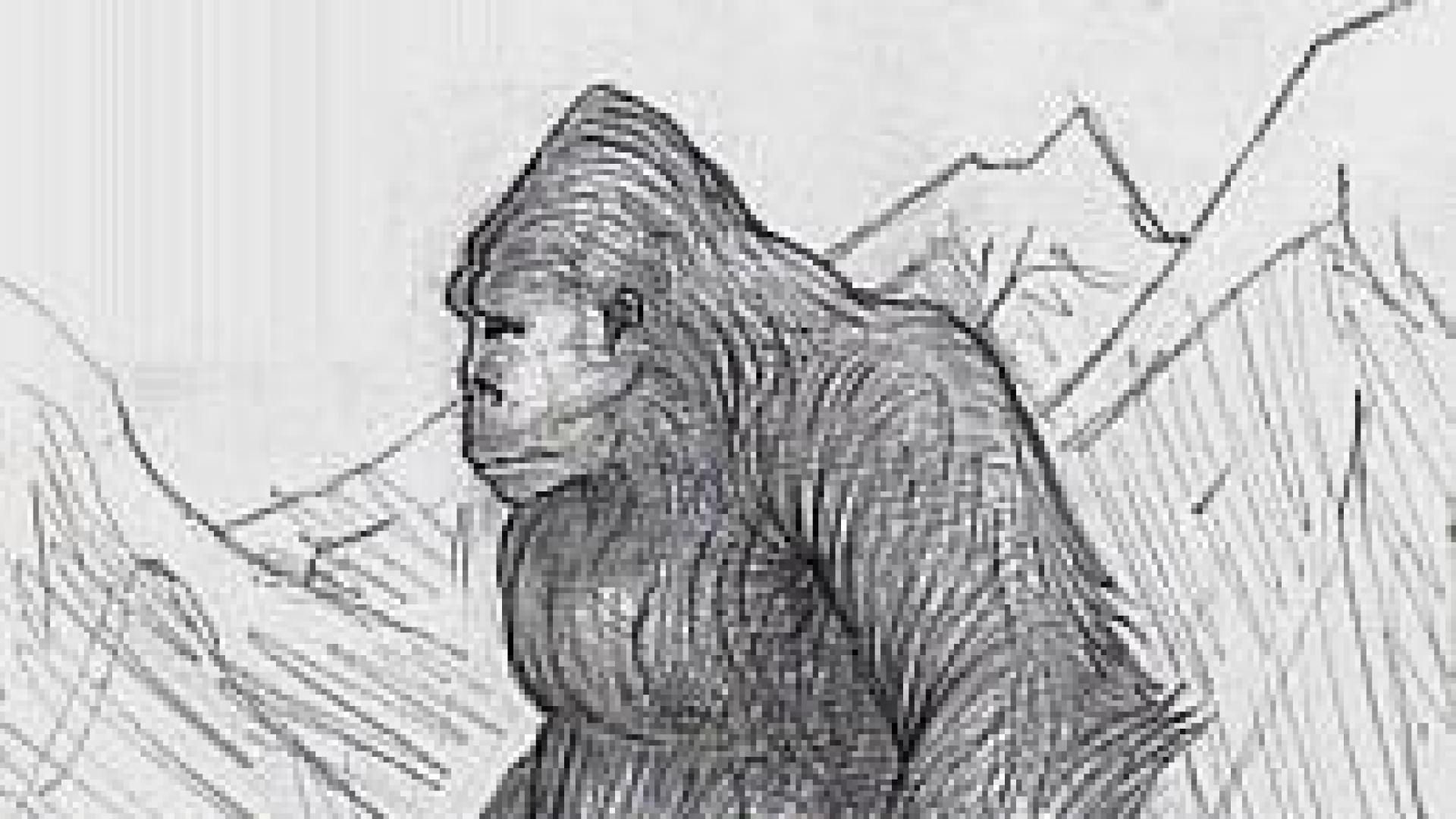 Las pruebas de ADN revelan que el mítico yeti del Himalaya es un oso