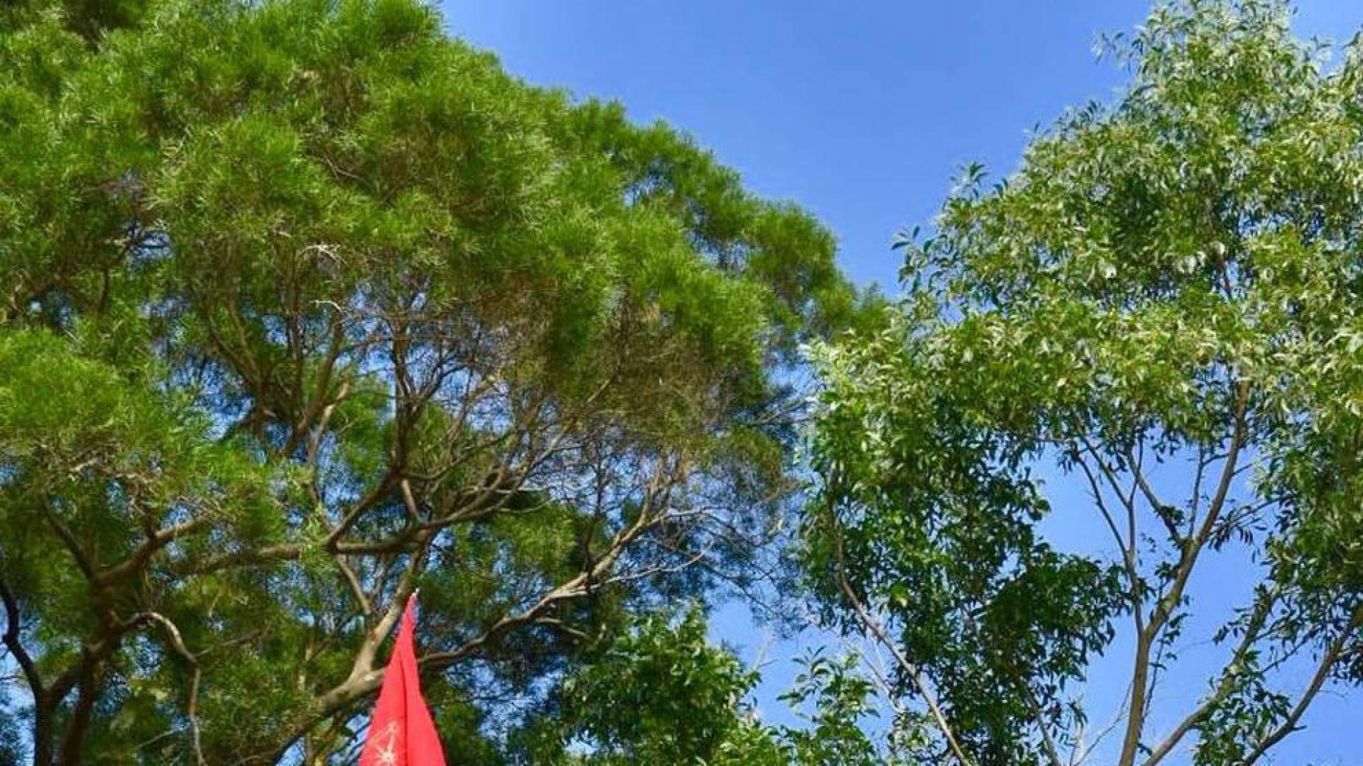 Bandera en la tumba del santo