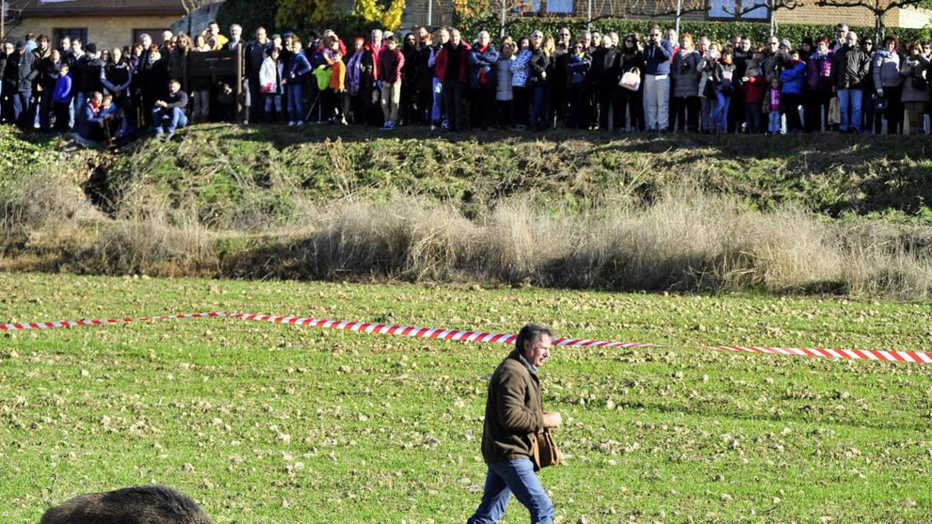 La Valdorba programa varias actividades para ensalzar la trufa negra