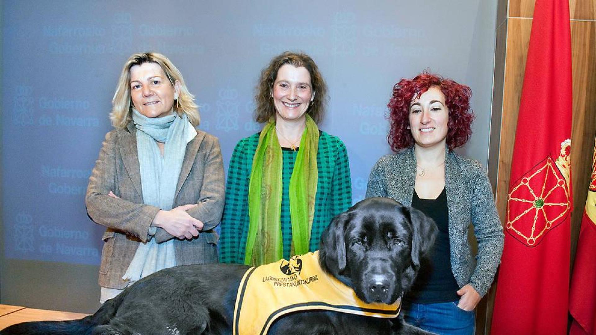 Editada en Navarra una guía pionera en España sobre perros de asistencia