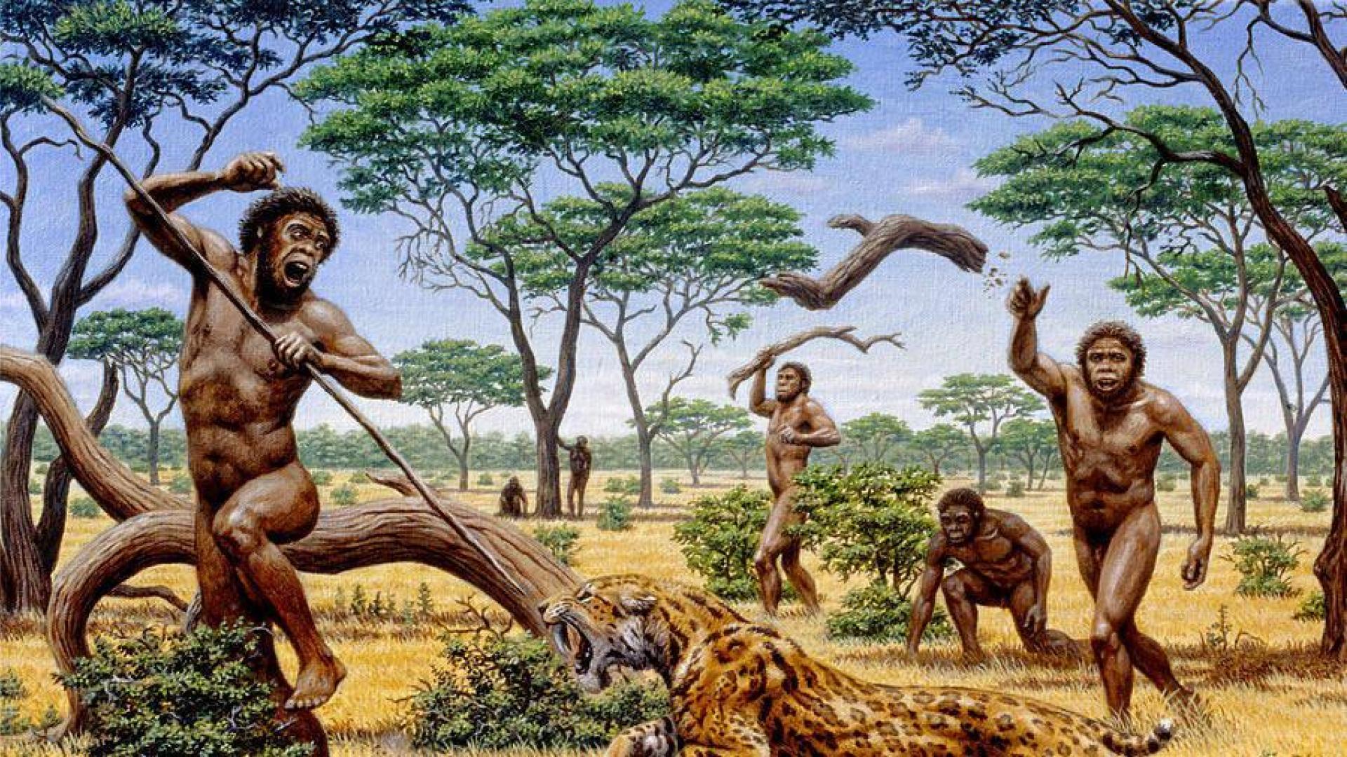 Los homínidos del Pleistoceno andaban igual que los humanos modernos