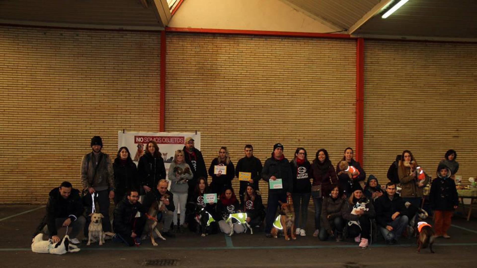 Mascotas buscan nuevo dueño en Tudela