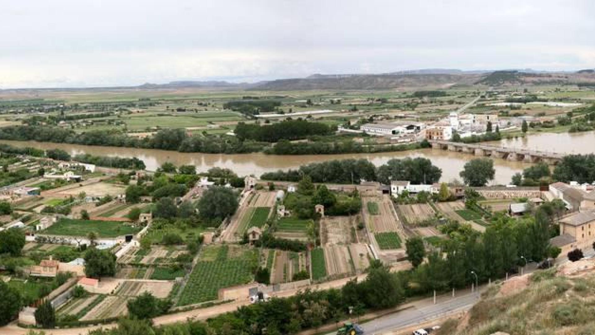 Tudela iniciará en enero el proceso para adjudicar los huertos sociales