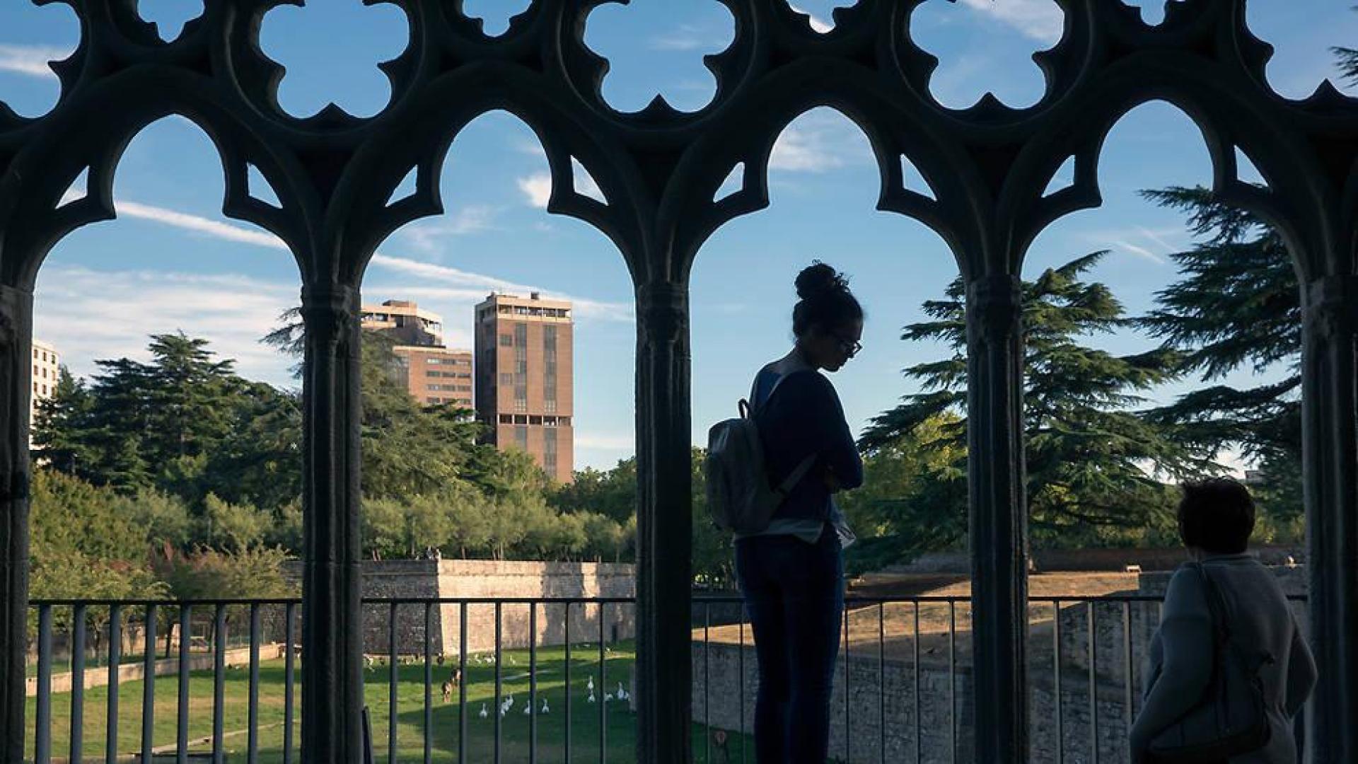 El Ayuntamiento impulsa un 'Playground' en la Taconera, una innovadora zona de juegos infantiles en Vistabella concebida para estar integrada en el entorno natural