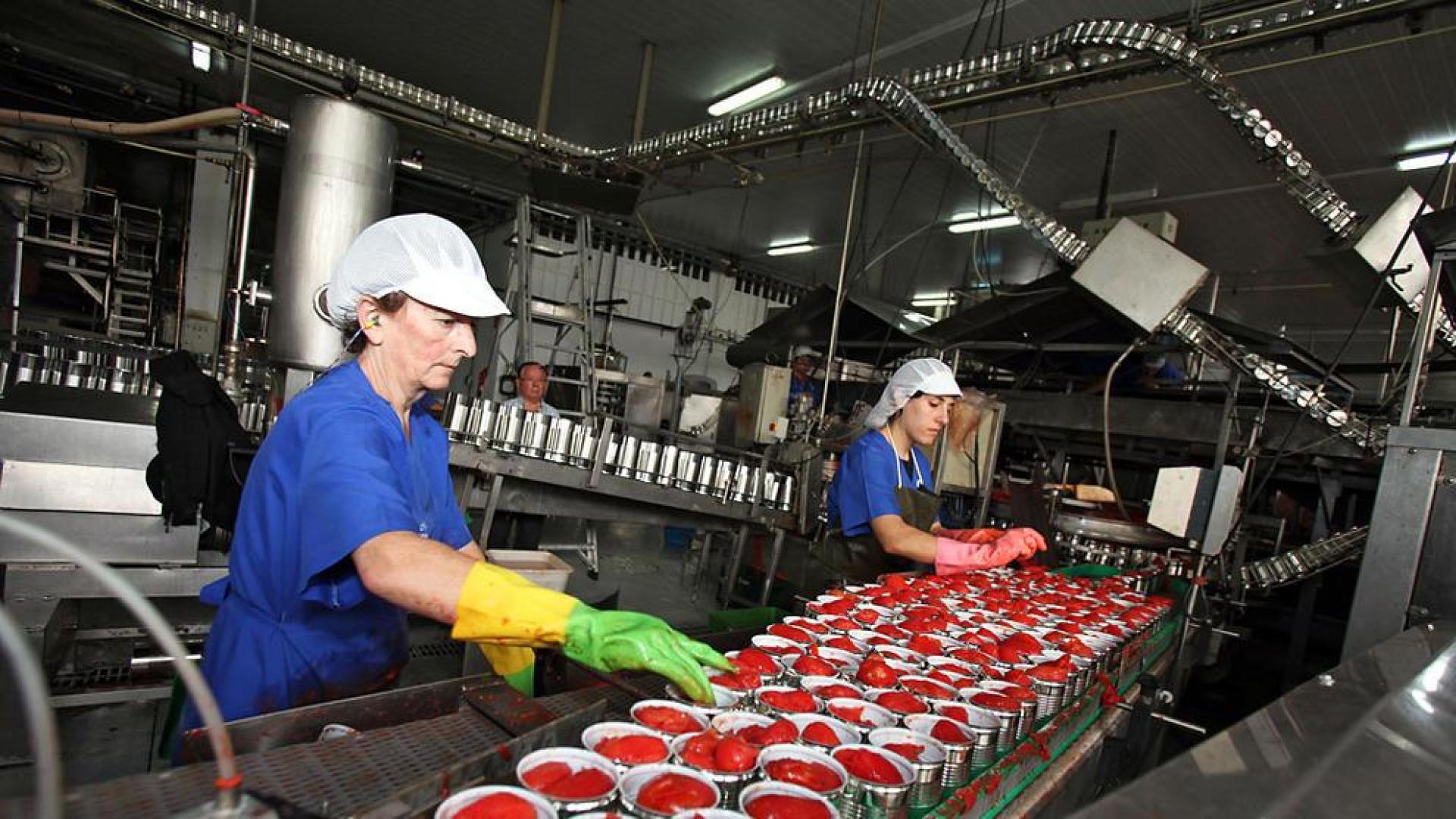 El veto comercial ruso inquieta en el sector agroalimentario navarro