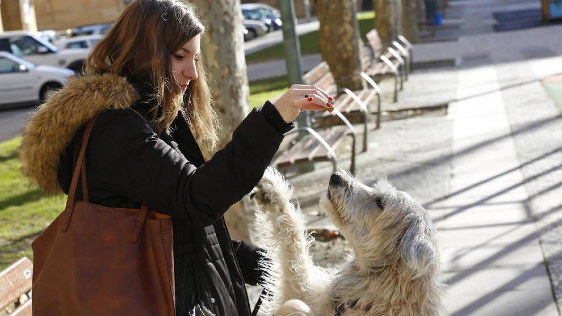 Sólo una custodia de un perro ha llegado al juzgado de Pamplona en los últimos años