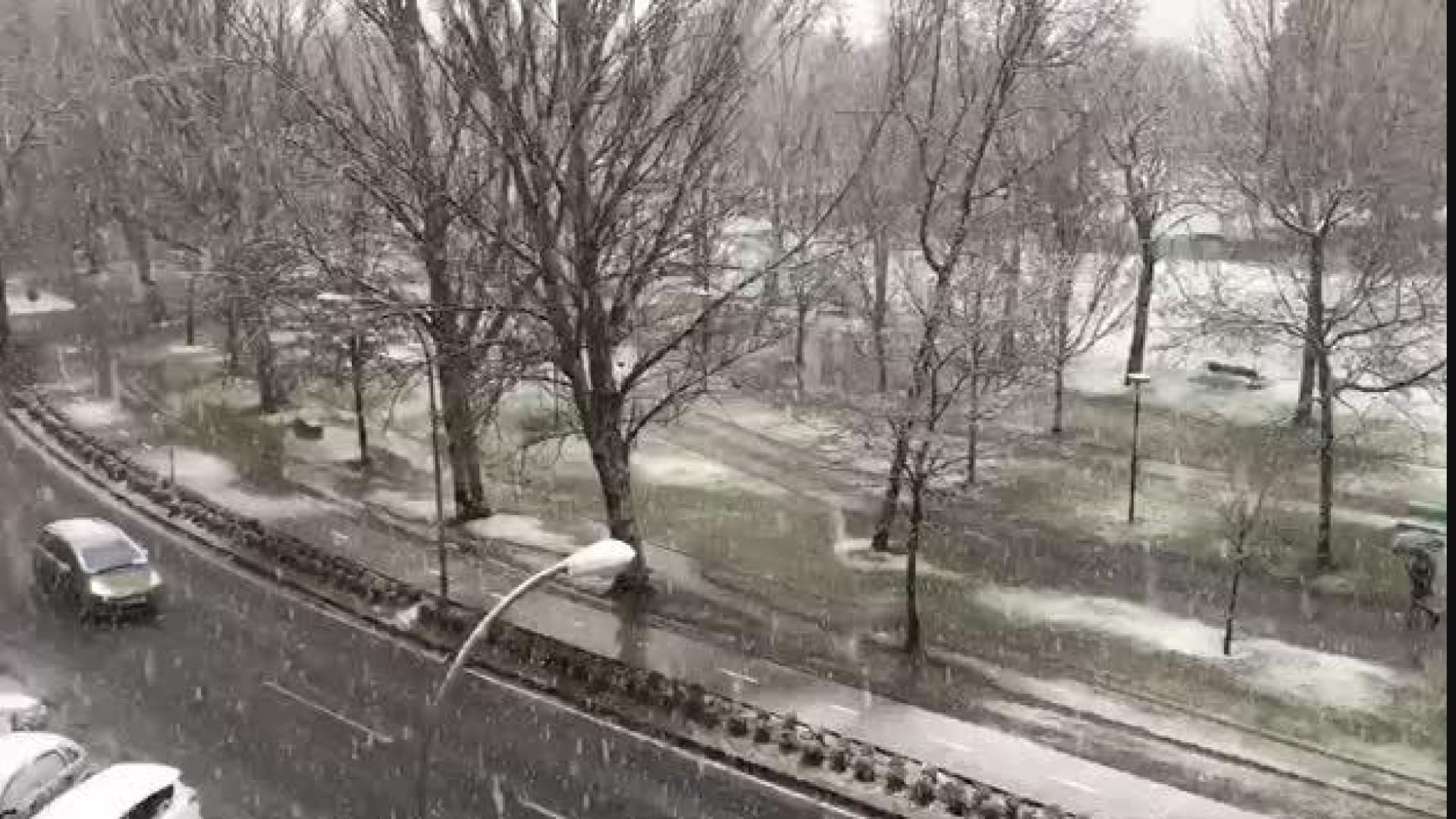 Nieve en la Vuelta del Castillo de Pamplona
