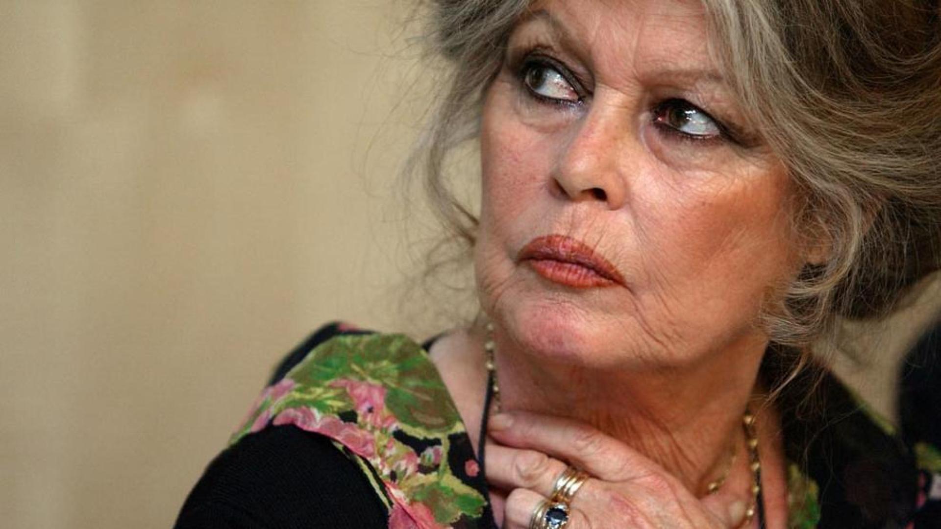 Brigitte Bardot pide a Oviedo que retire el decreto contra los gatos callejeros