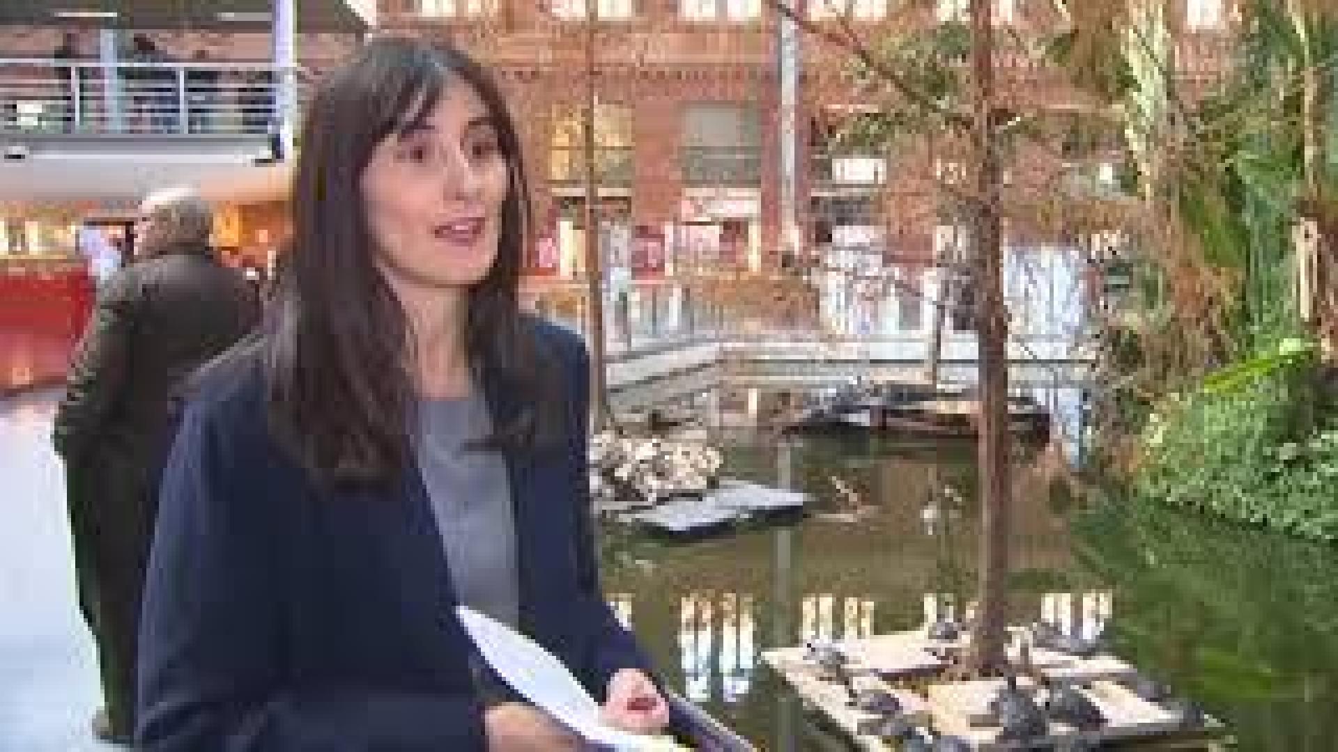 Las tortugas de la Estación de Atocha dicen adiós tras más de 20 años