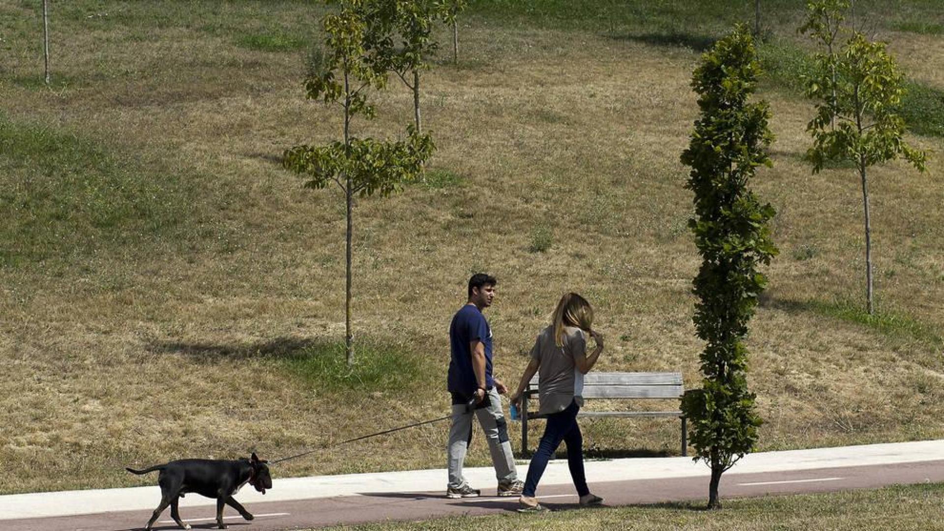 Una pareja pasea a su perro en las inmediaciones de Ripagaina