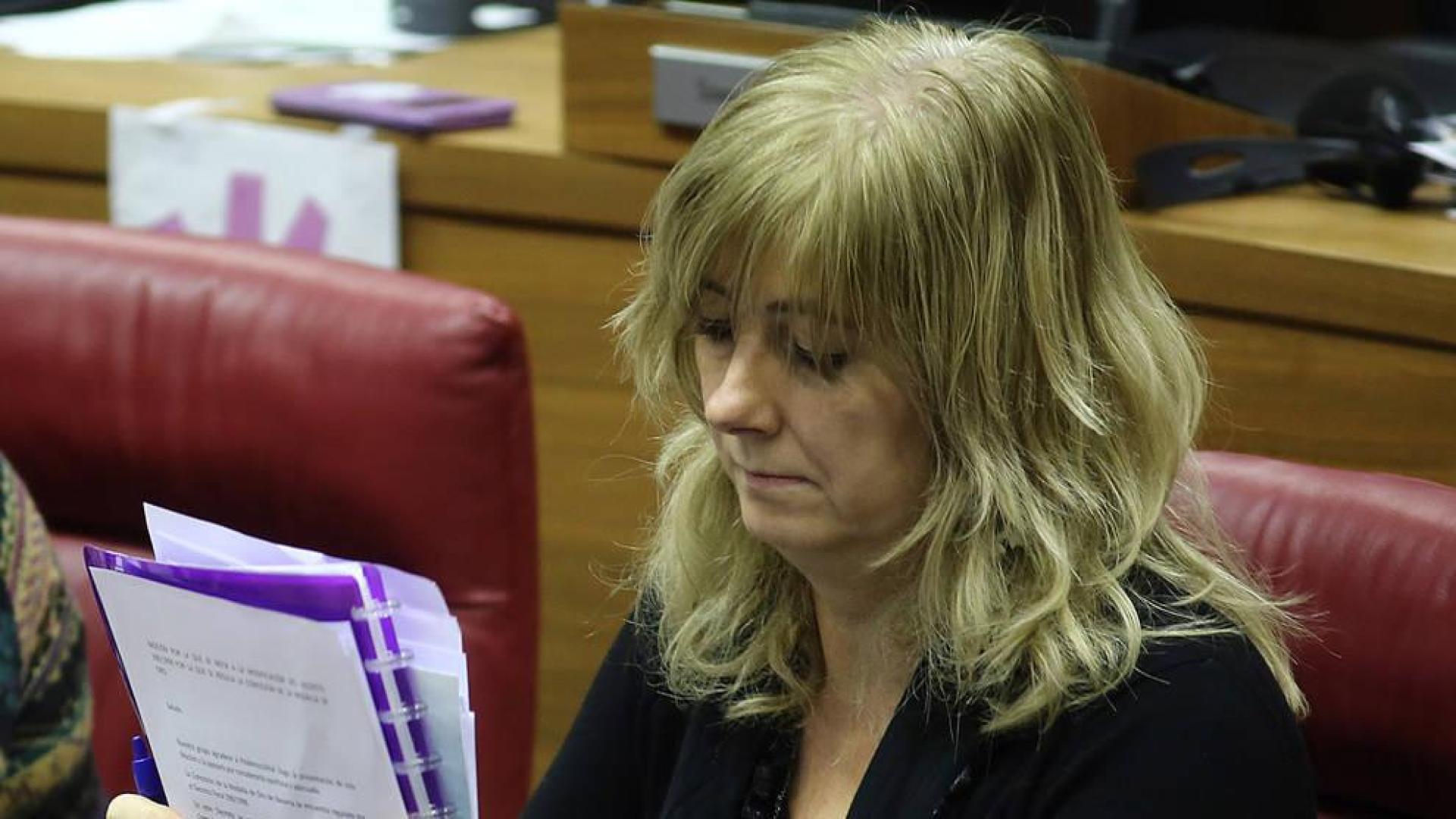 Ollo dice que el informe de Etxarri es del Ayuntamiento y no le corresponde valorarlo
