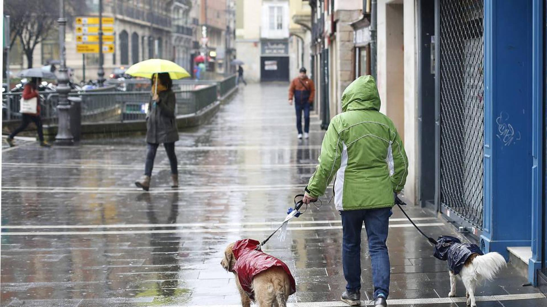 Los veterinarios abogan por censar con ADN a los perros de toda Navarra