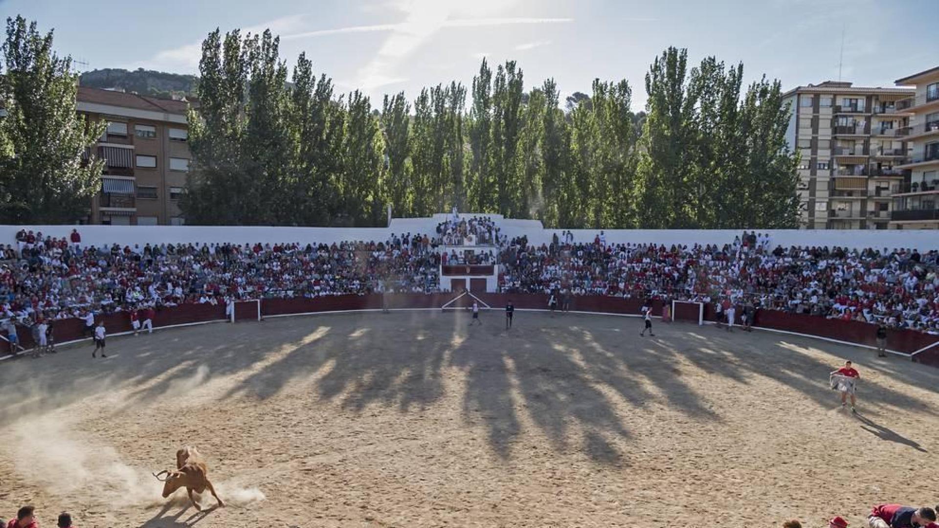 Estella abre la puerta a encierros de toros en la nueva gestión de la plaza