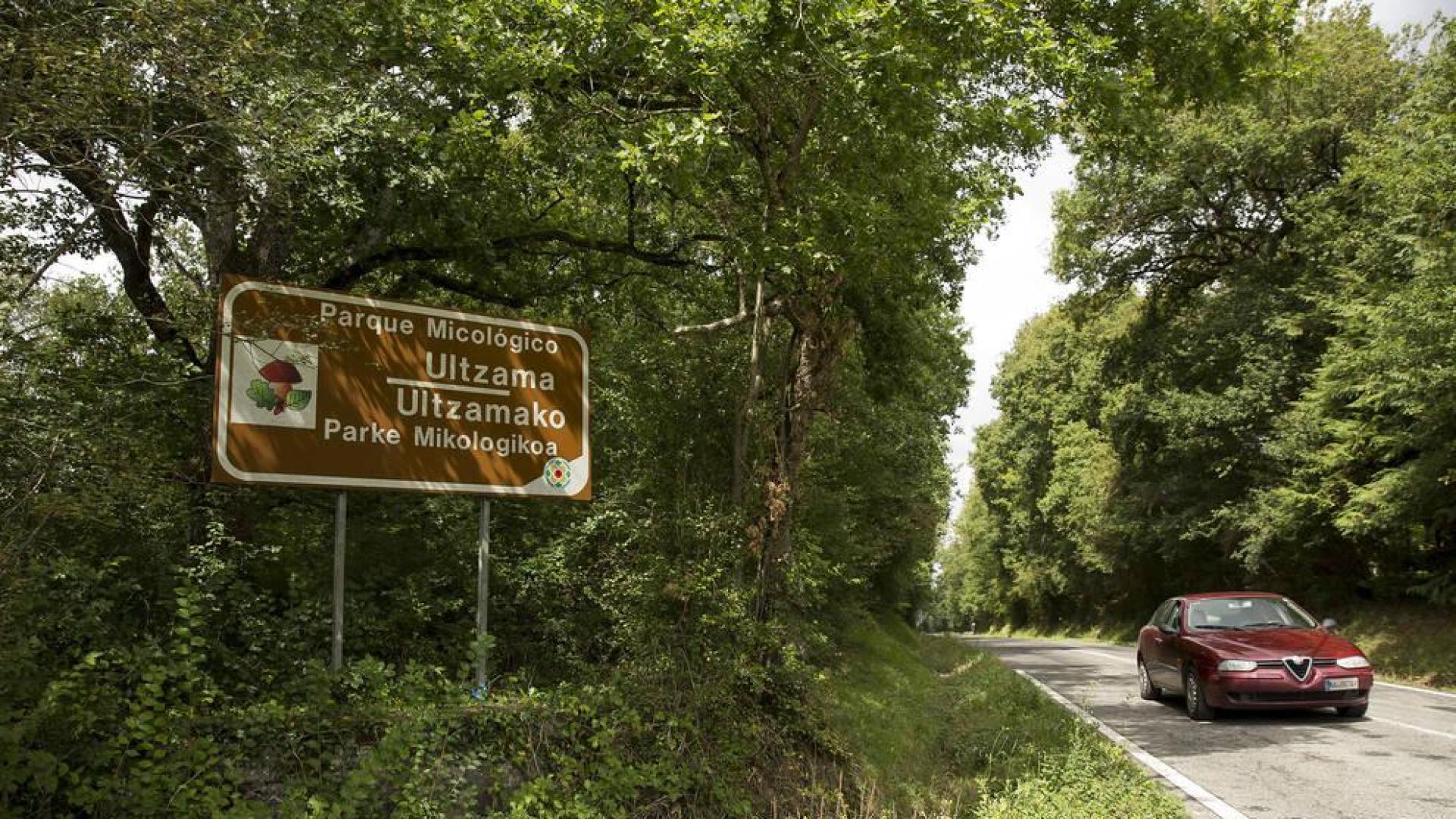 El calor y la falta de lluvia limitaron en octubre el desarrollo de setas en Ultzama