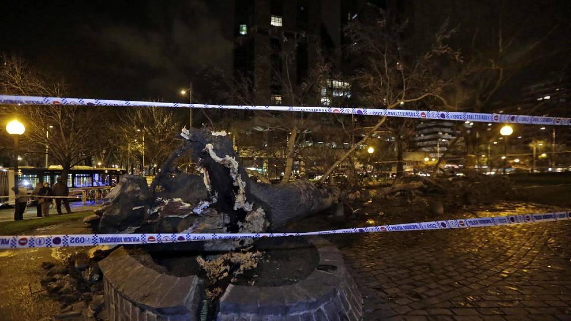 Dos personas resultaron heridas este lunes por la tarde en Pamplona al caerles encima un árbol en la Vuelta del Castillo de Pamplona, el situado en la confluencia de la Avenida del Ejército y Pío XII.