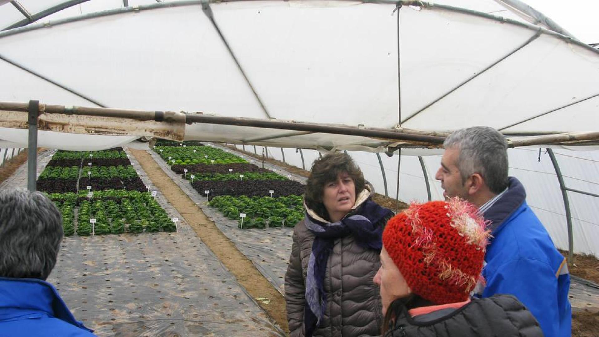 El INTIA experimenta con papel para invernaderos en lugar de plásticos