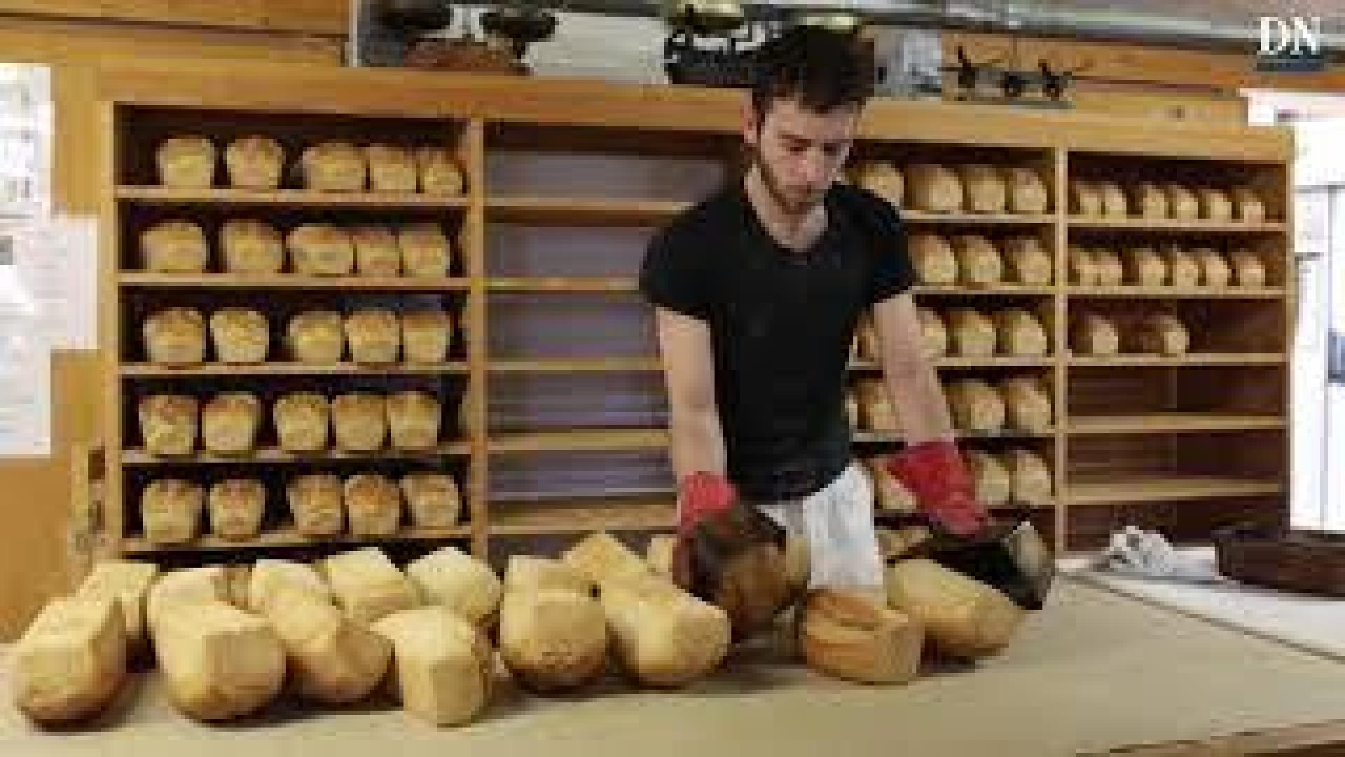 Maestro panadero: el 'pan de Arguiñáriz', uno de los 80 mejores del país