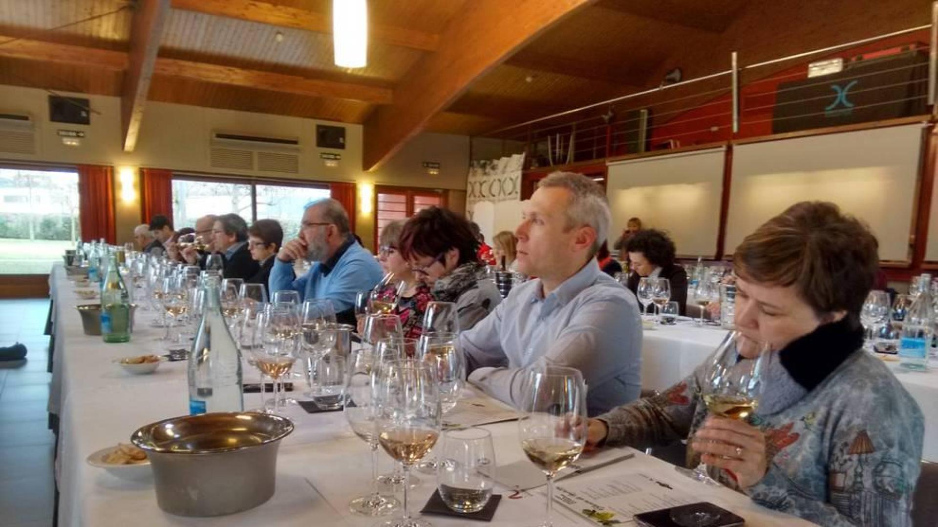 El auge del vino blanco en Navarra