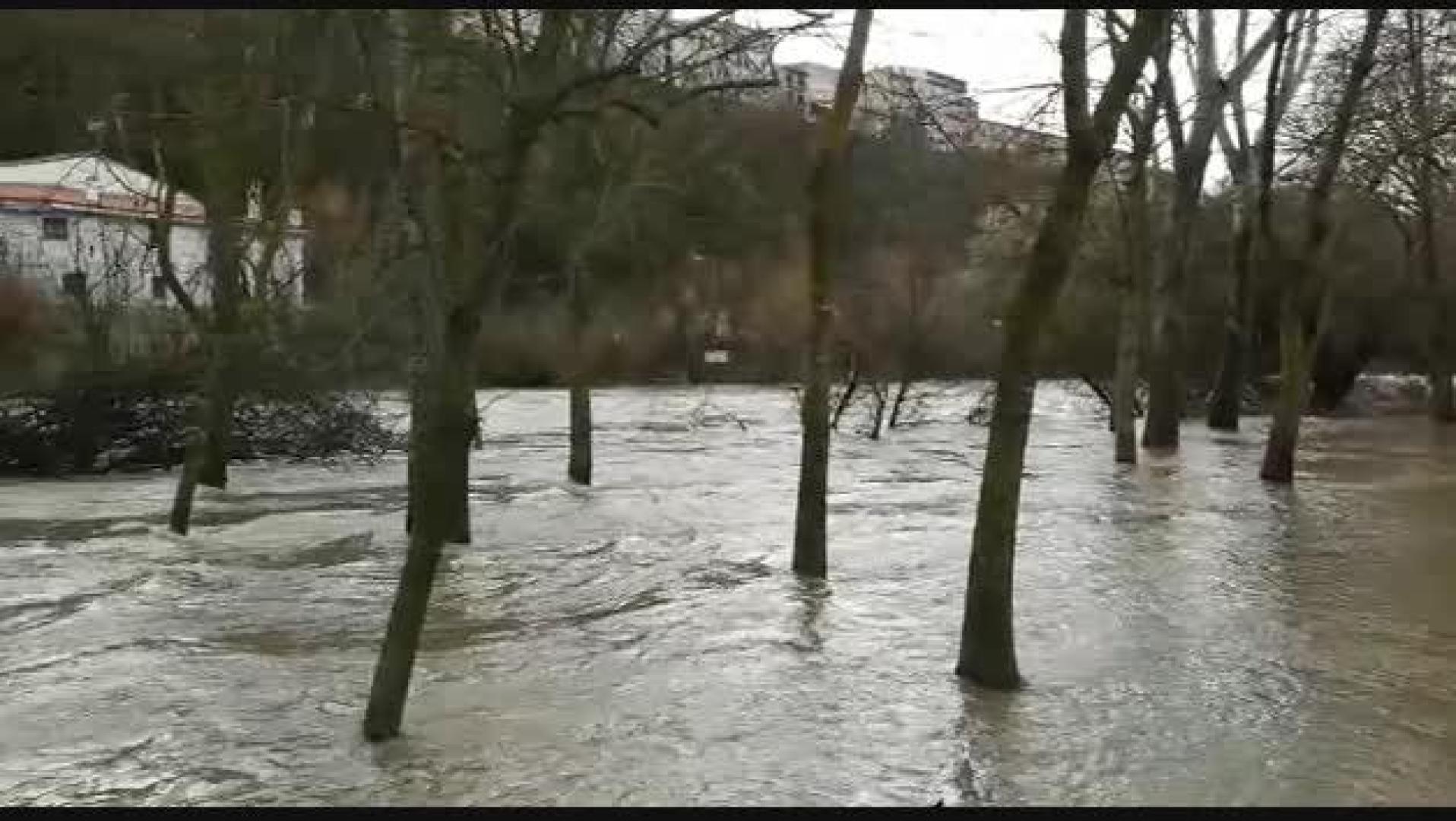 El río Arga, desbordado en la Rochapea