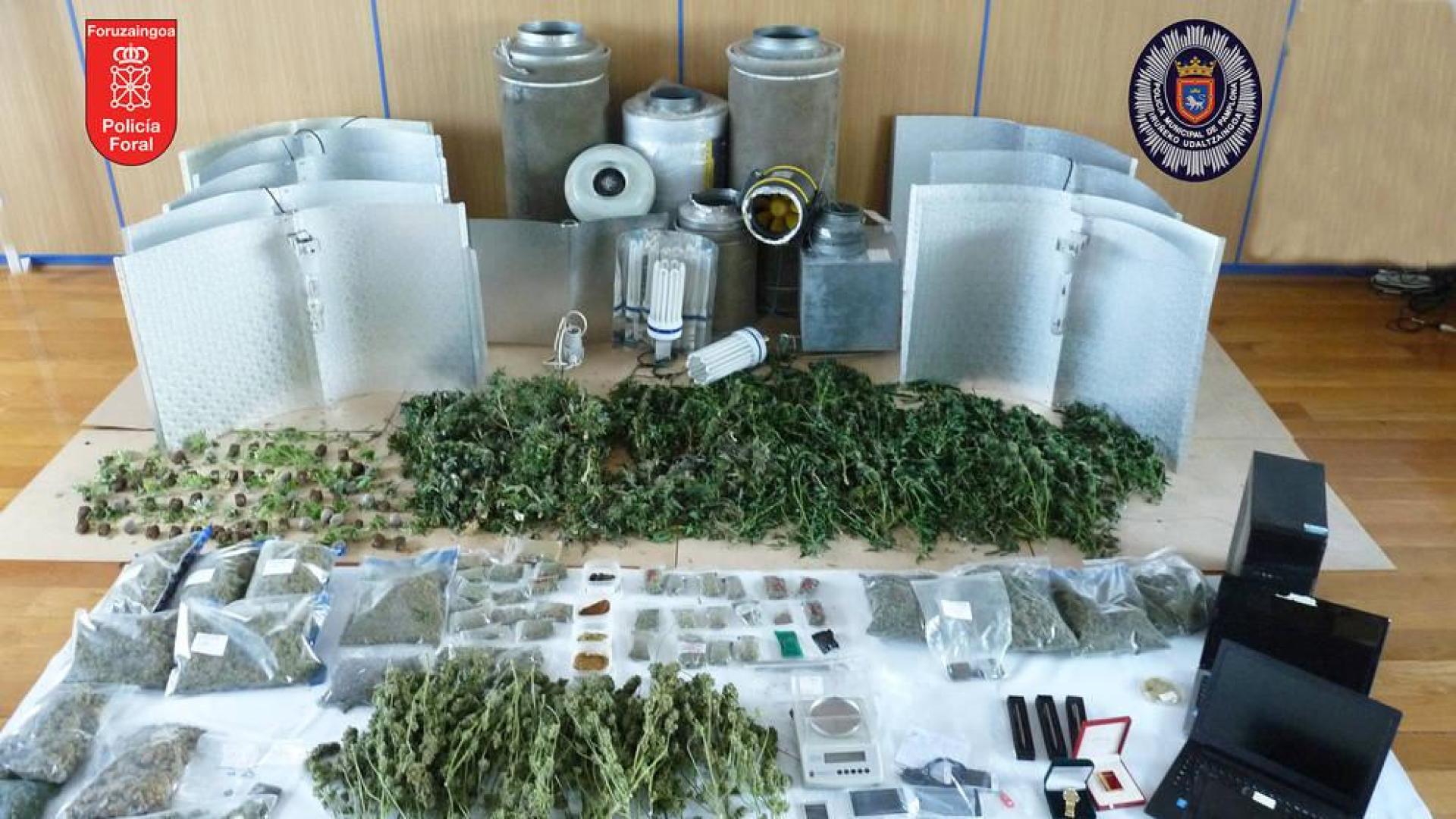 Dos detenidos y desmantelado un laboratorio de cultivo y tráfico de marihuana