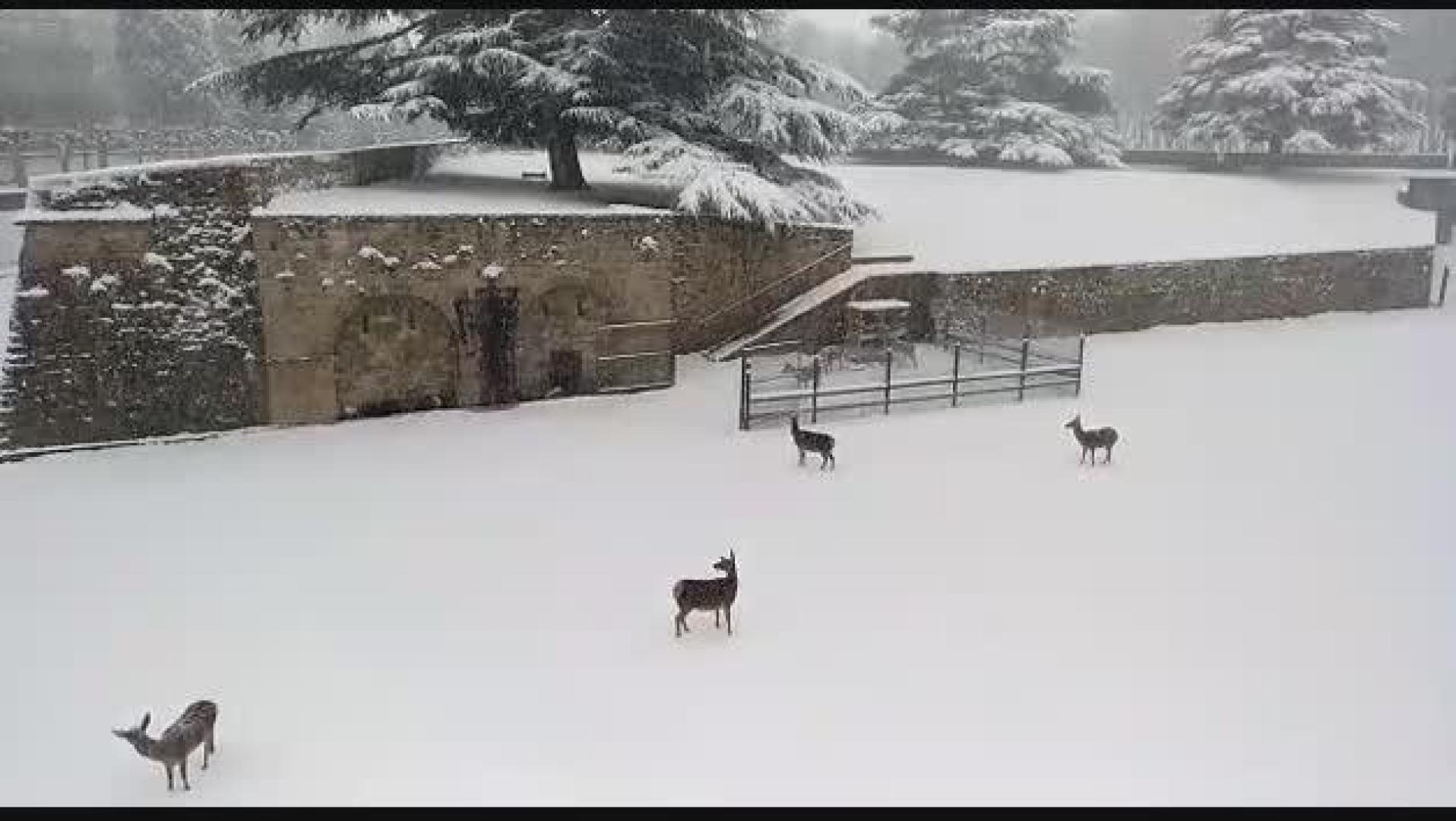Nieve en la Taconera (III)