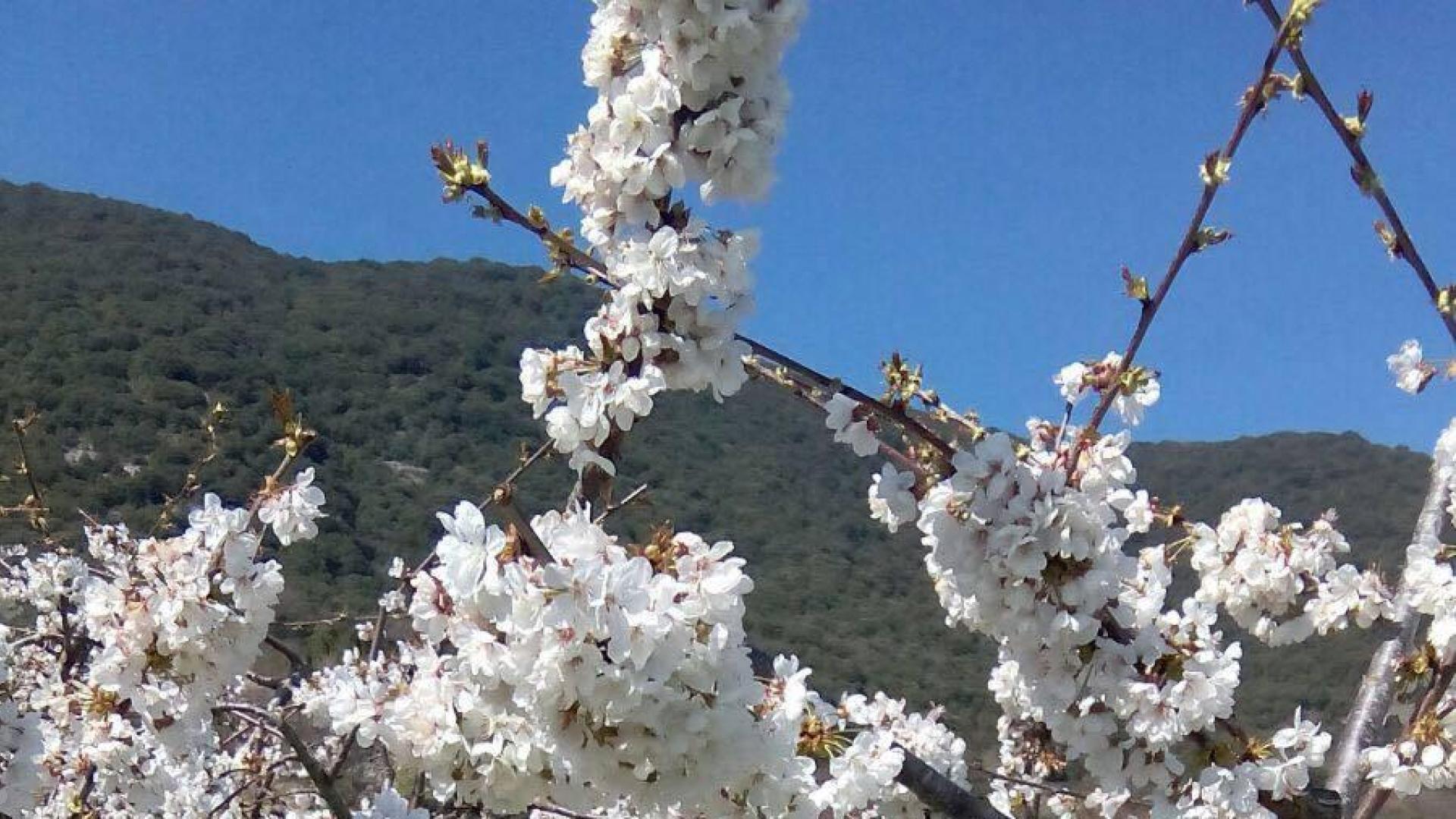 La primavera, retratada por los lectores de Diariodenavarra.es.