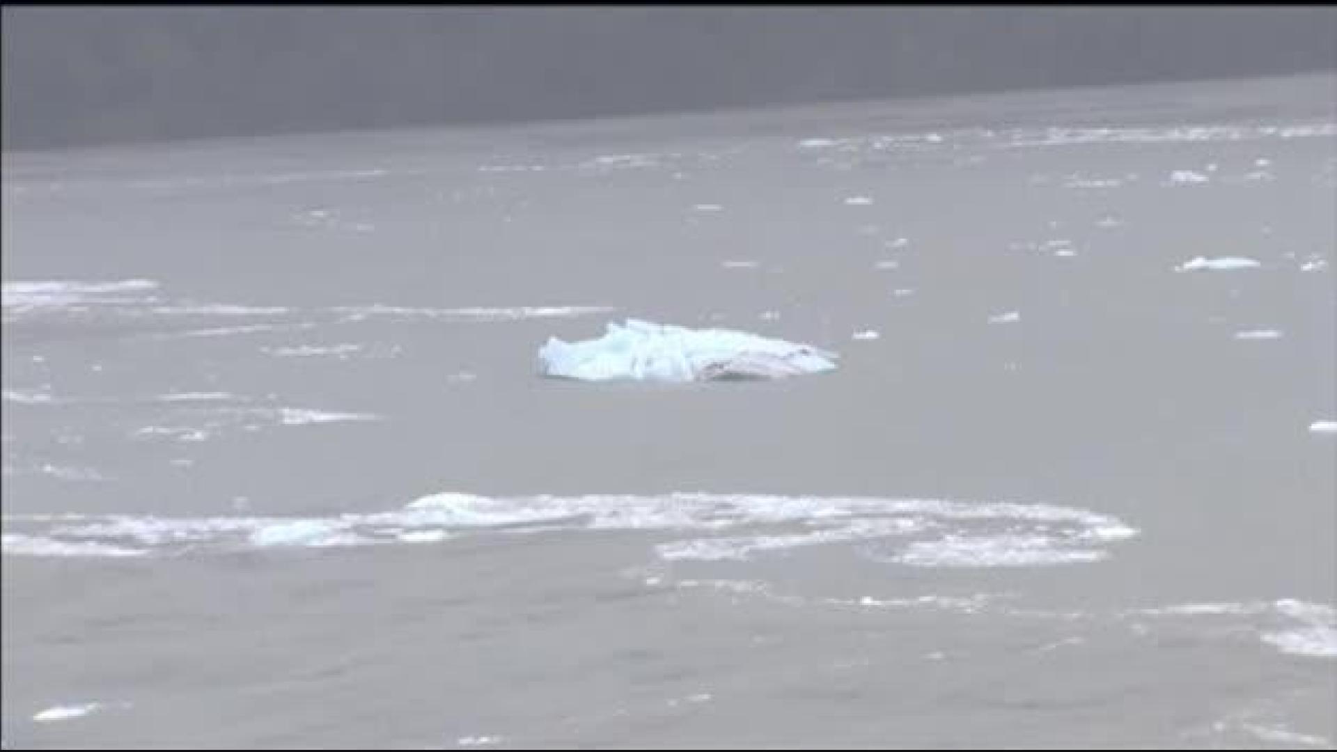 El glaciar Perito Moreno se quiebra por quinta vez en un siglo
