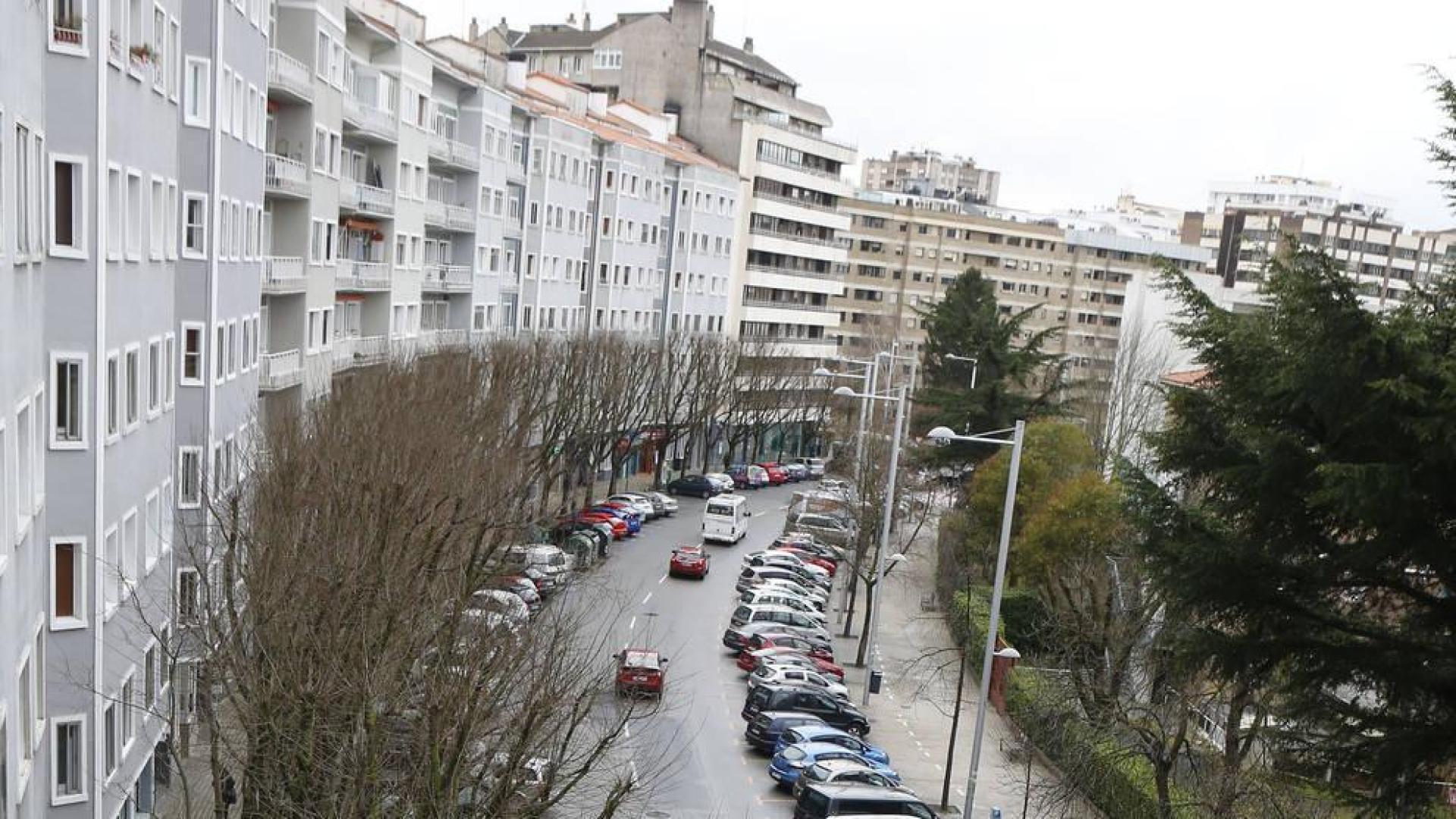 La técnico de Jardines no avala la sustitución de los árboles en Sancho el Fuerte