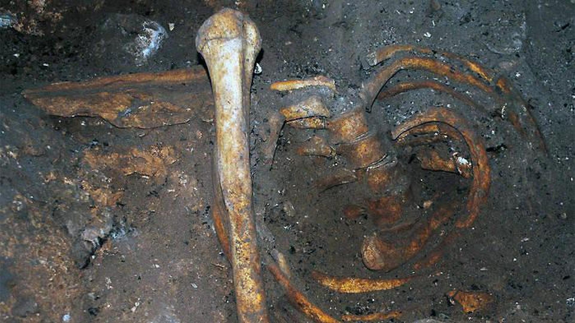 Yacimiento africano más antiguo descarta lazos con europeos hace 15.000 años