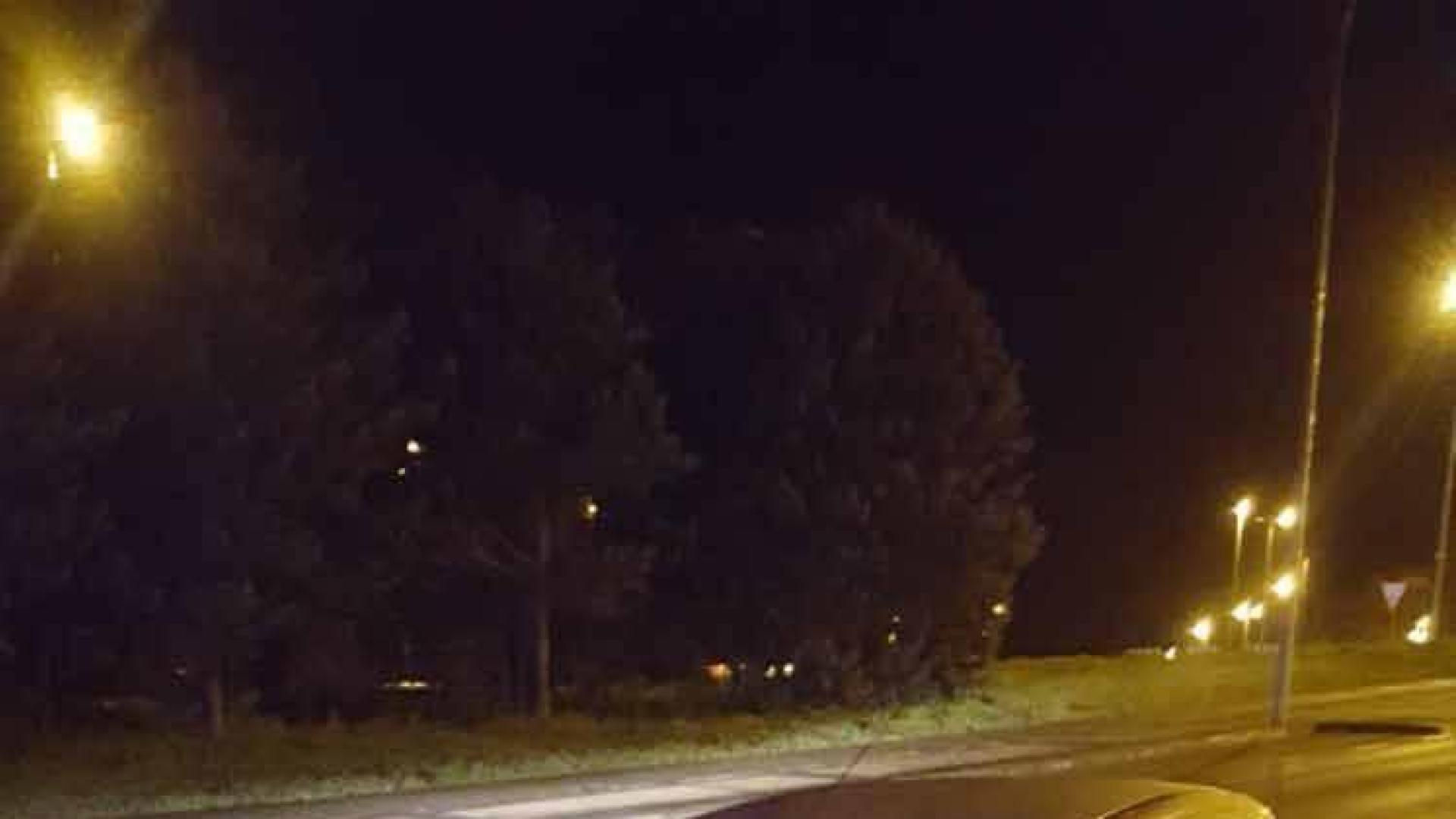 Se queda dormido, choca contra un árbol y triplica la tasa de alcohol en Pamplona