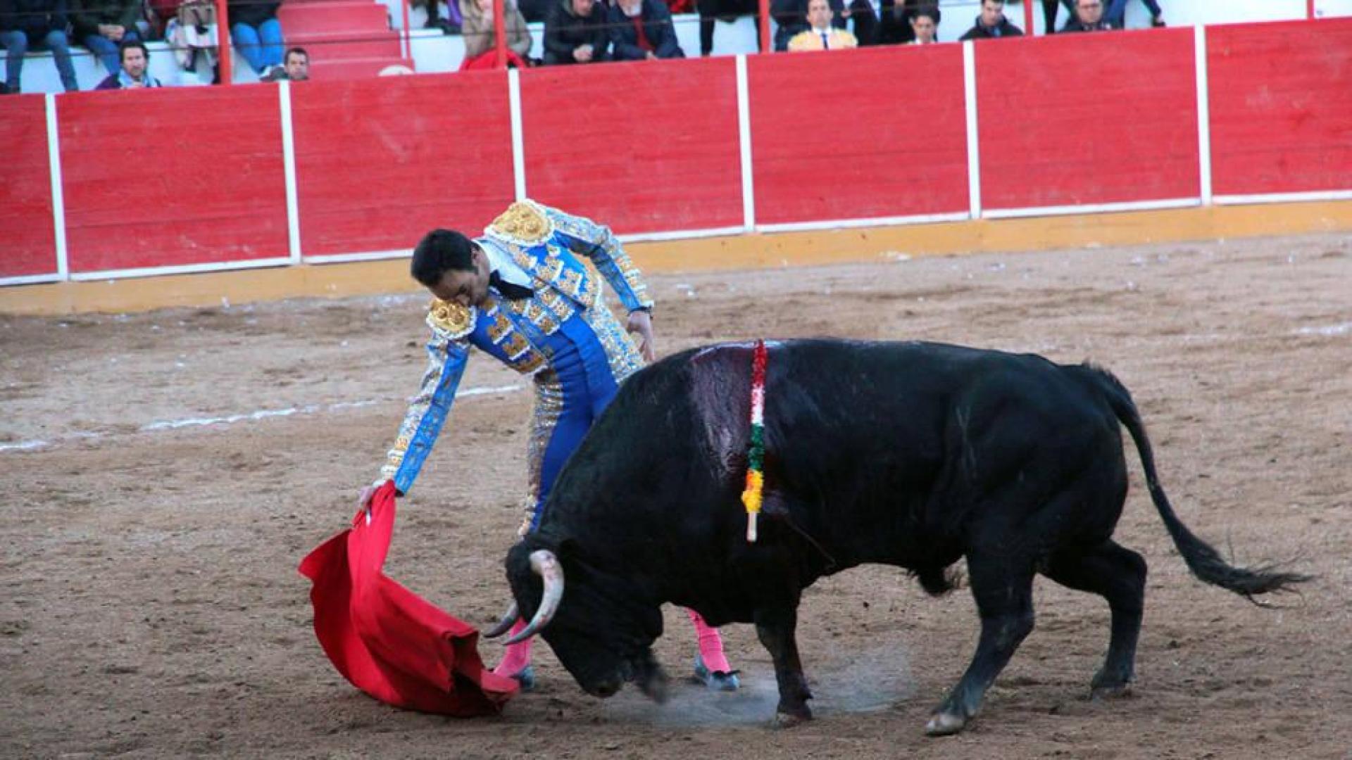 El verso elegante de El Cid y el valor de Garrido, a hombros en Fitero con El Fandi