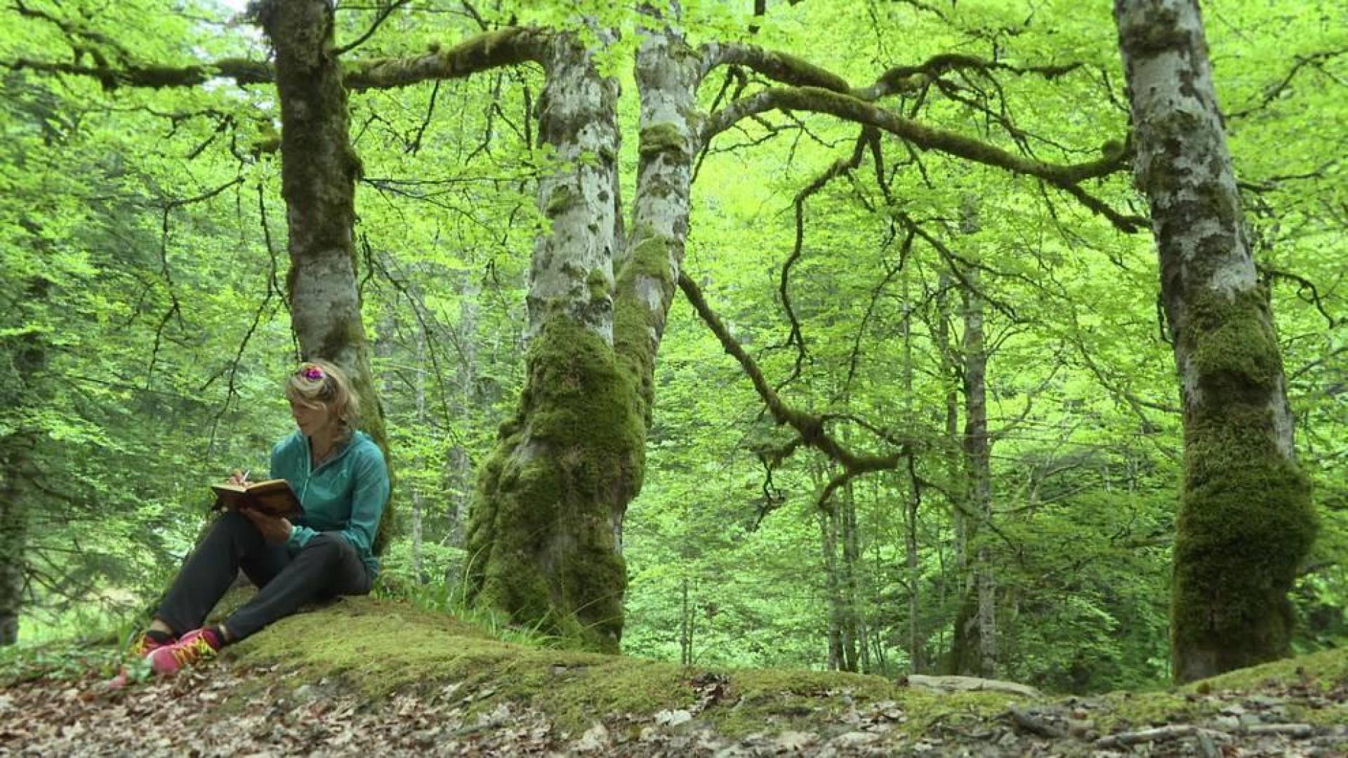 El programa de senderismo '80 cm', de La 2, recorrerá este sábado la Selva de Irati