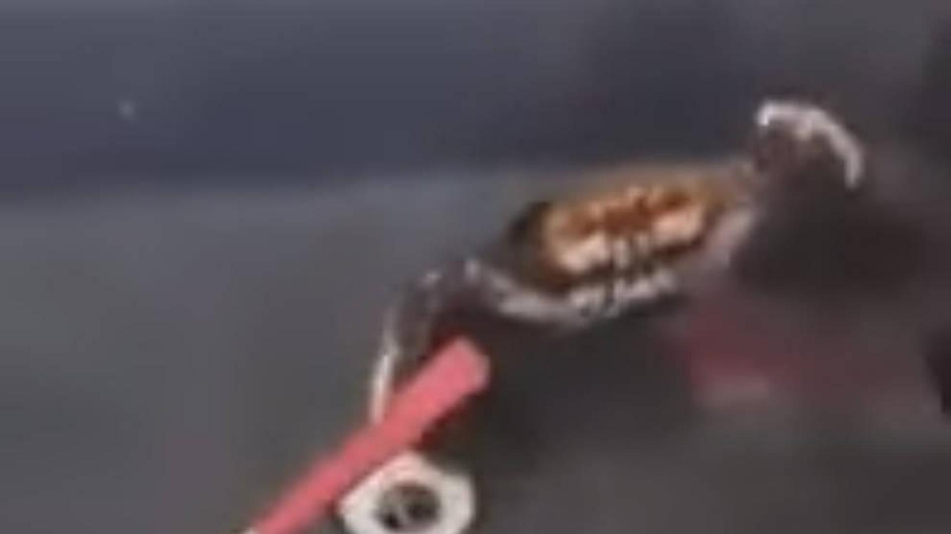 El vídeo que se ha hecho viral de un cangrejo luchando con un cuchillo