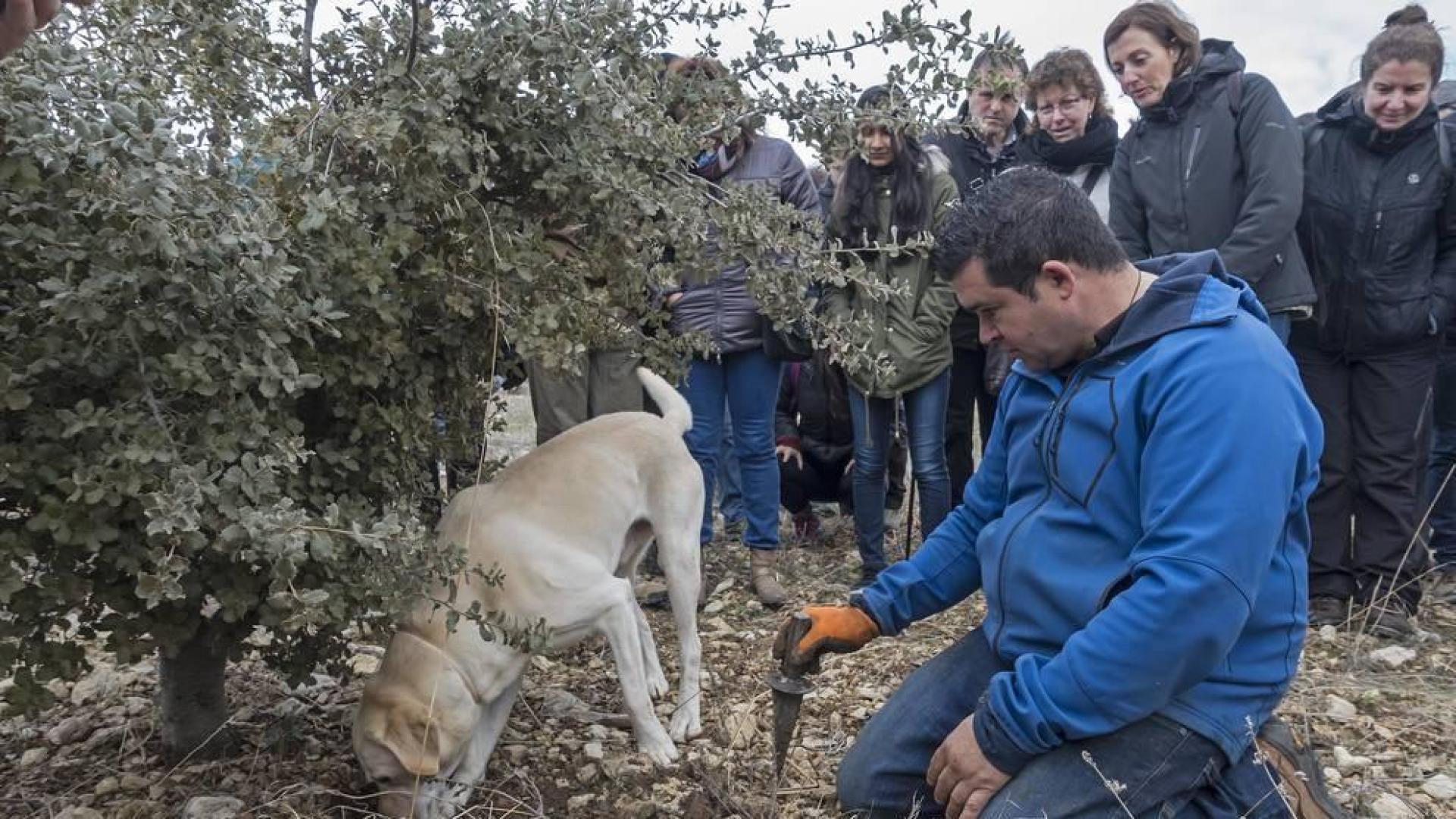 La trufa de Metauten: un plan para esta Semana Santa