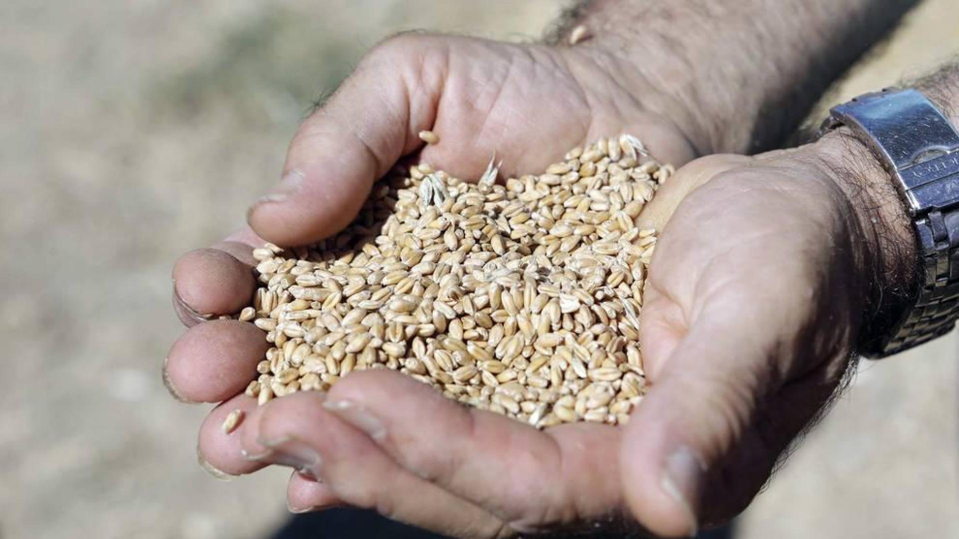 Miranda de Arga es un pueblo de tradición agrícola, pero hoy sólo seis vecinos se dedican en exclusiva a esta actividad. La localidad celebró ayer la XVIII edición de su Día del Mundo Rural para preservar una forma de trabajar de siglos.